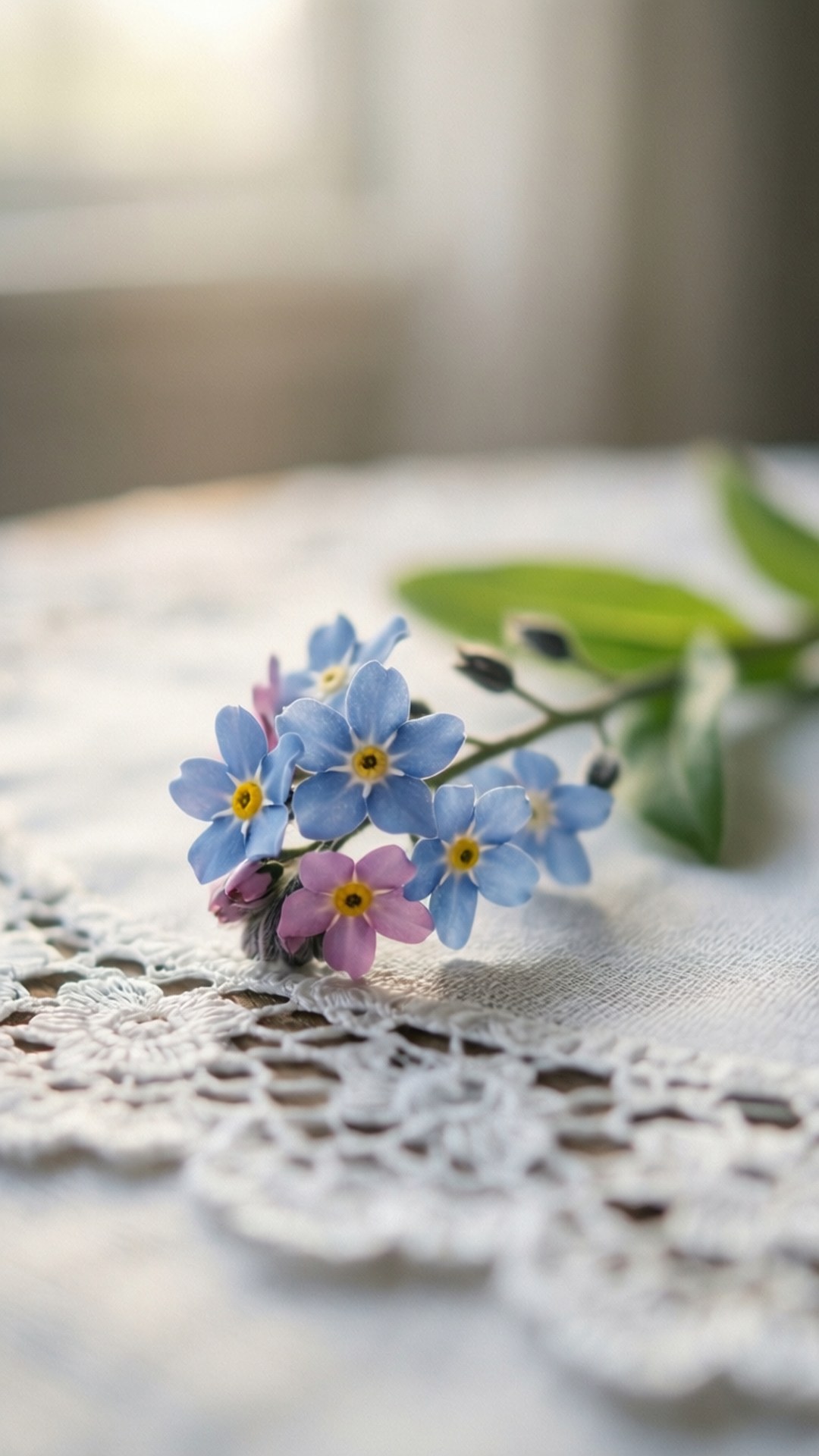 Lace and Forget-Me-Nots 壁紙 — 一束精緻的藍色和粉紅色毋忘我花，帶有黃色花心，放在窗邊的白色蕾絲墊上。
