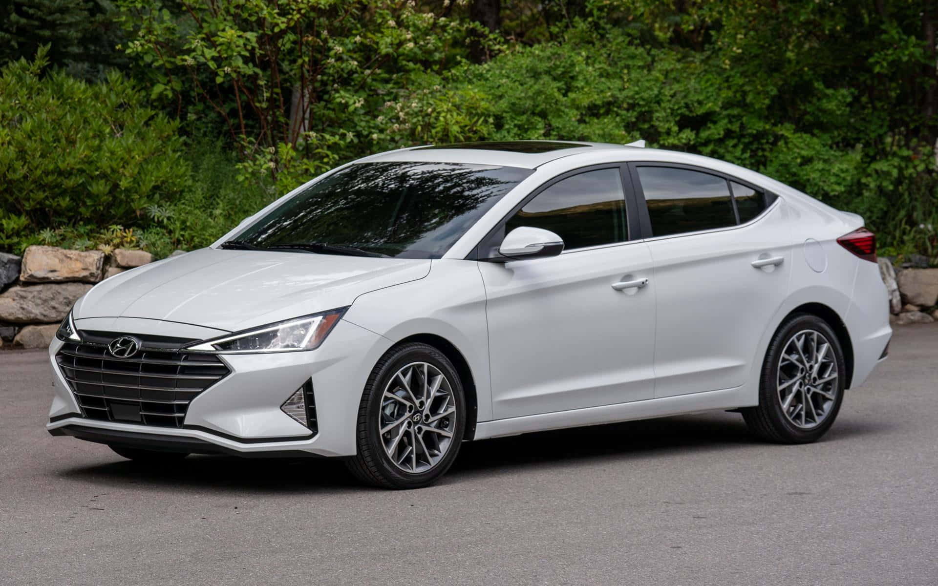 Hyundai Elantra 桌布 壁紙 — 一台時尚的白色現代Elantra轎車停在柏油路上，背景有茂密的綠色樹葉和石牆。
