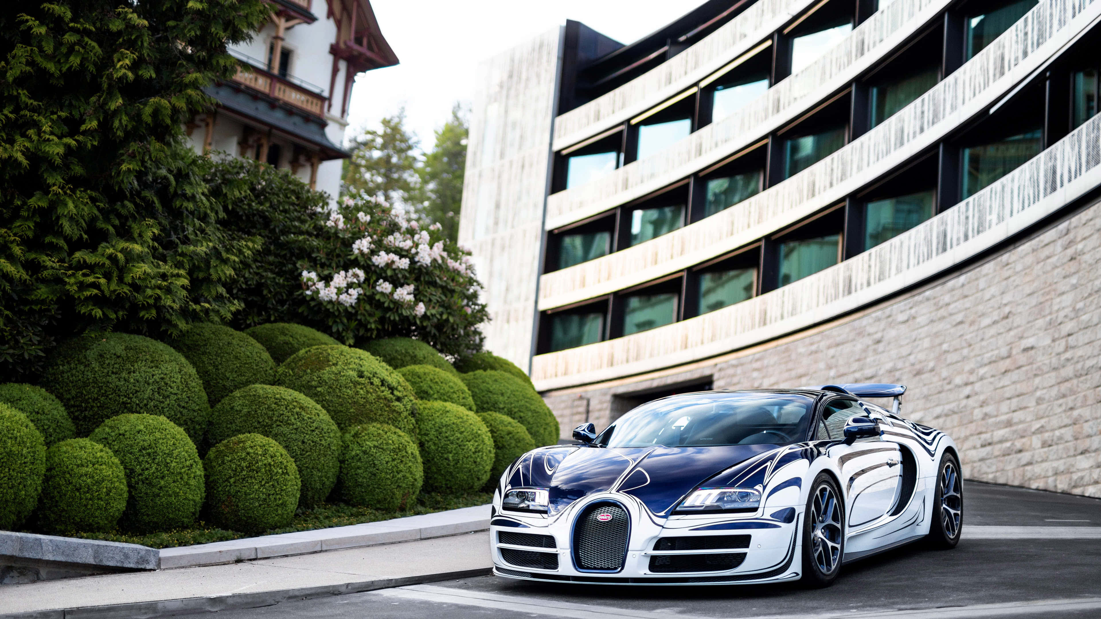 Bugatti Veyron 桌布 壁紙 — 一台時尚的藍銀色Bugatti Veyron停放在車道上，旁邊是修剪整齊的綠色樹籬和現代建築。