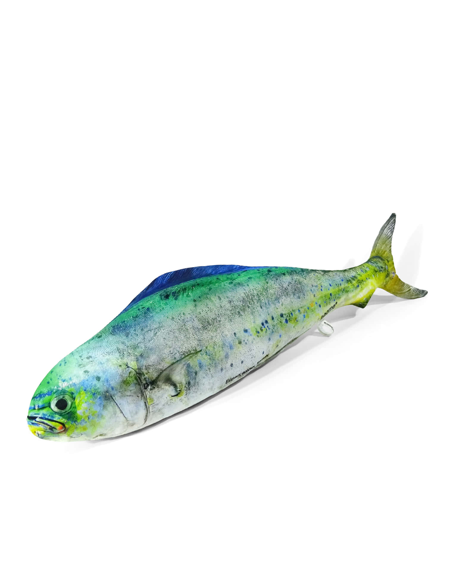  壁紙 — 一條充滿活力、逼真的鬼頭刀魚，帶有虹彩藍綠色和黃色鱗片，躺在純白色的表面上。