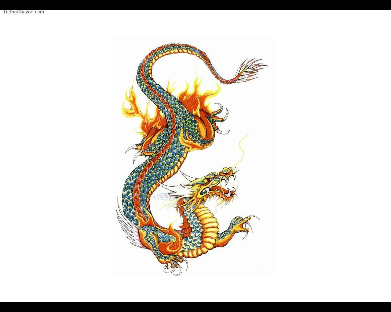 一條風格化的龍，帶有藍色鱗片和橙色火焰，在插畫中盤繞。 — 日式龍 PC 壁紙