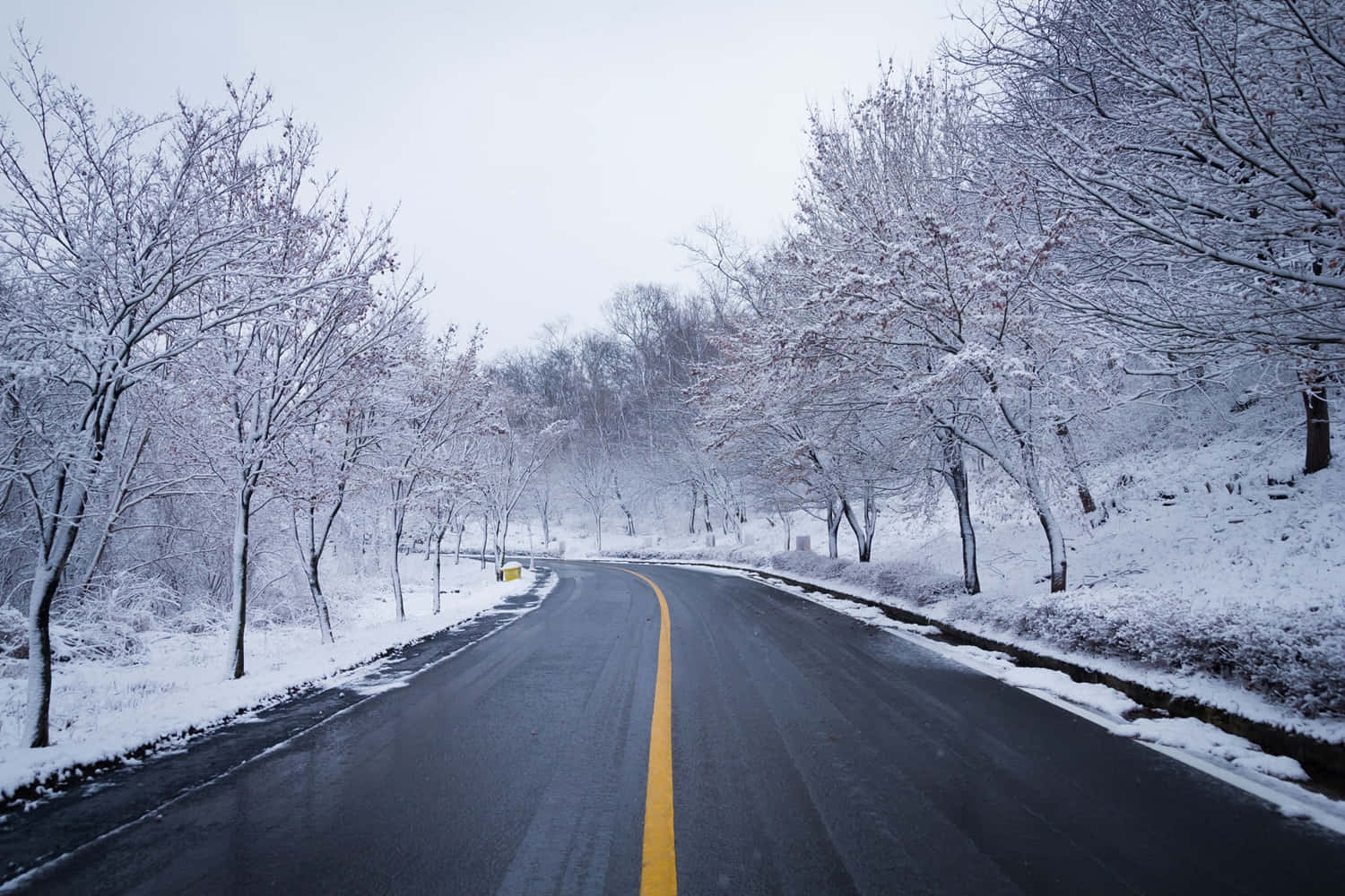 Snowy Road 桌布 壁紙 — 一條蜿蜒的道路穿過白雪覆蓋的森林，光禿禿的樹木在陰天天空下披上白霜。