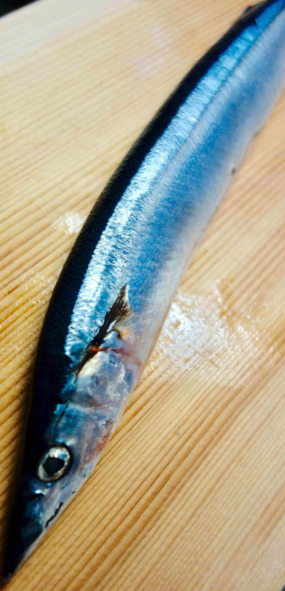  壁紙 — 一條細長的銀色魚，背部深色，躺在淺色木砧板上，展現閃亮的鱗片和銳利的眼睛。
