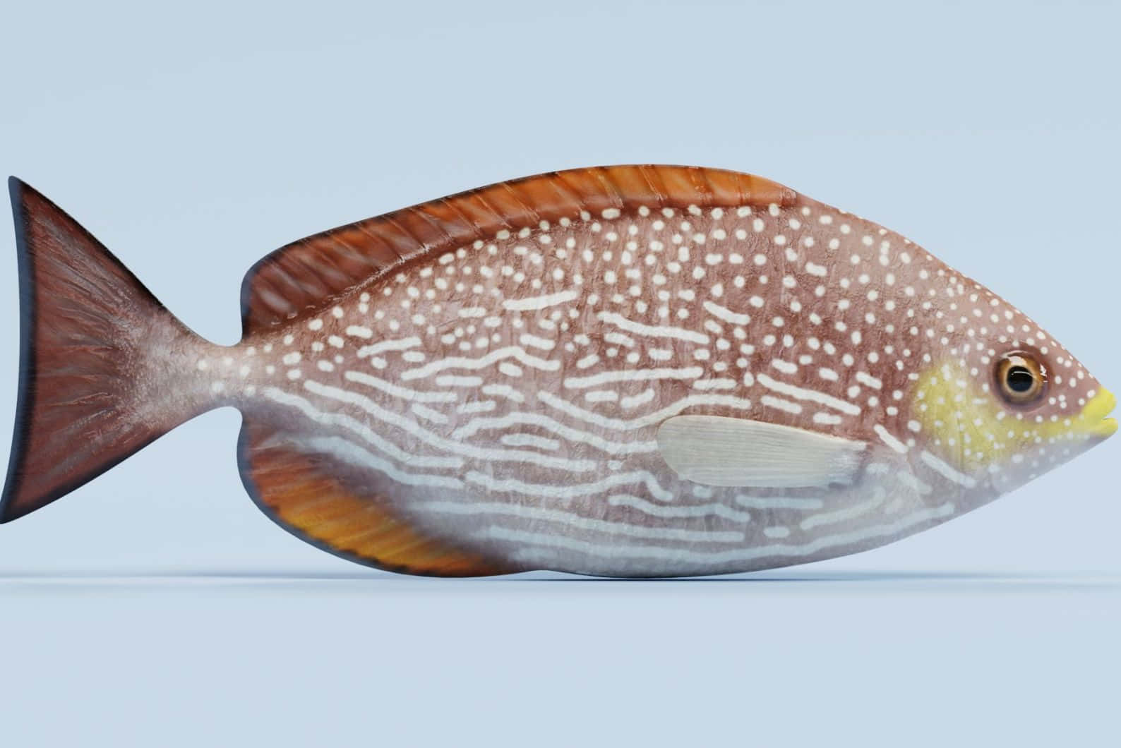  壁紙 — 一條棕色魚的詳細3D渲染，帶有白色條紋和斑點，背景為淺藍色。