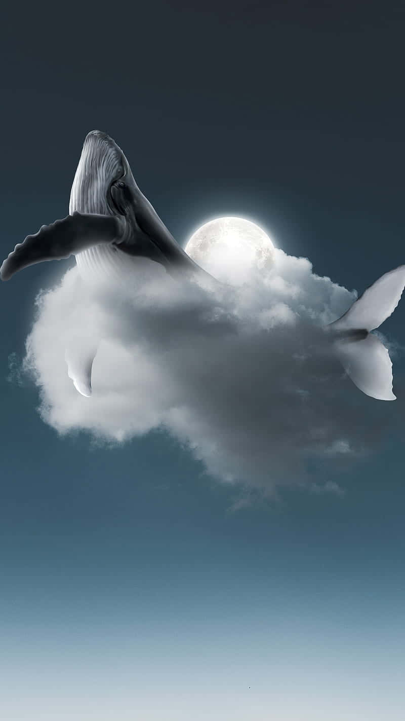  壁紙 — 一頭雄偉的鯨魚在暮色天空下穿過月光照耀的雲層。