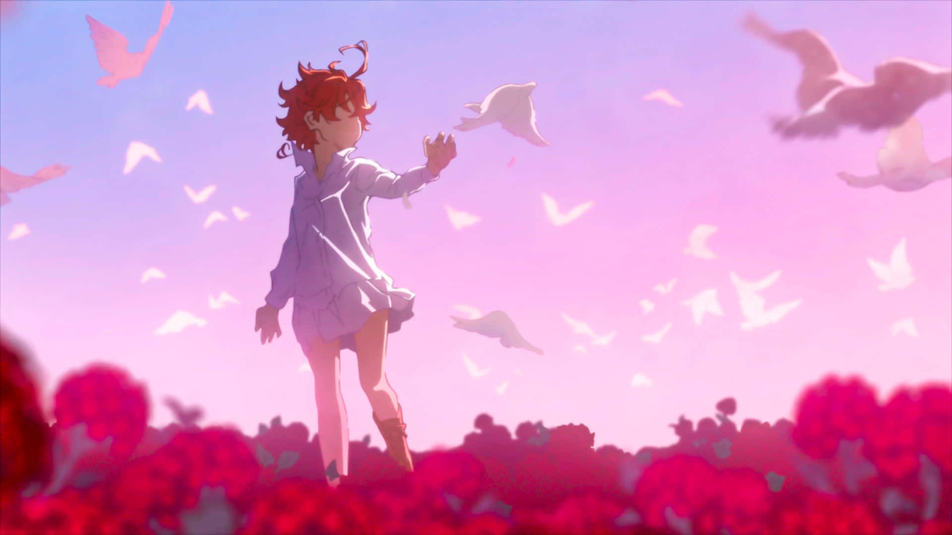 The Promised Neverland Emma 桌布 壁紙 — 一位紅髮動漫女孩穿著白色連衣裙站在粉紅色花田中，伸手觸摸在柔和紫色天空中飛翔的鳥兒。