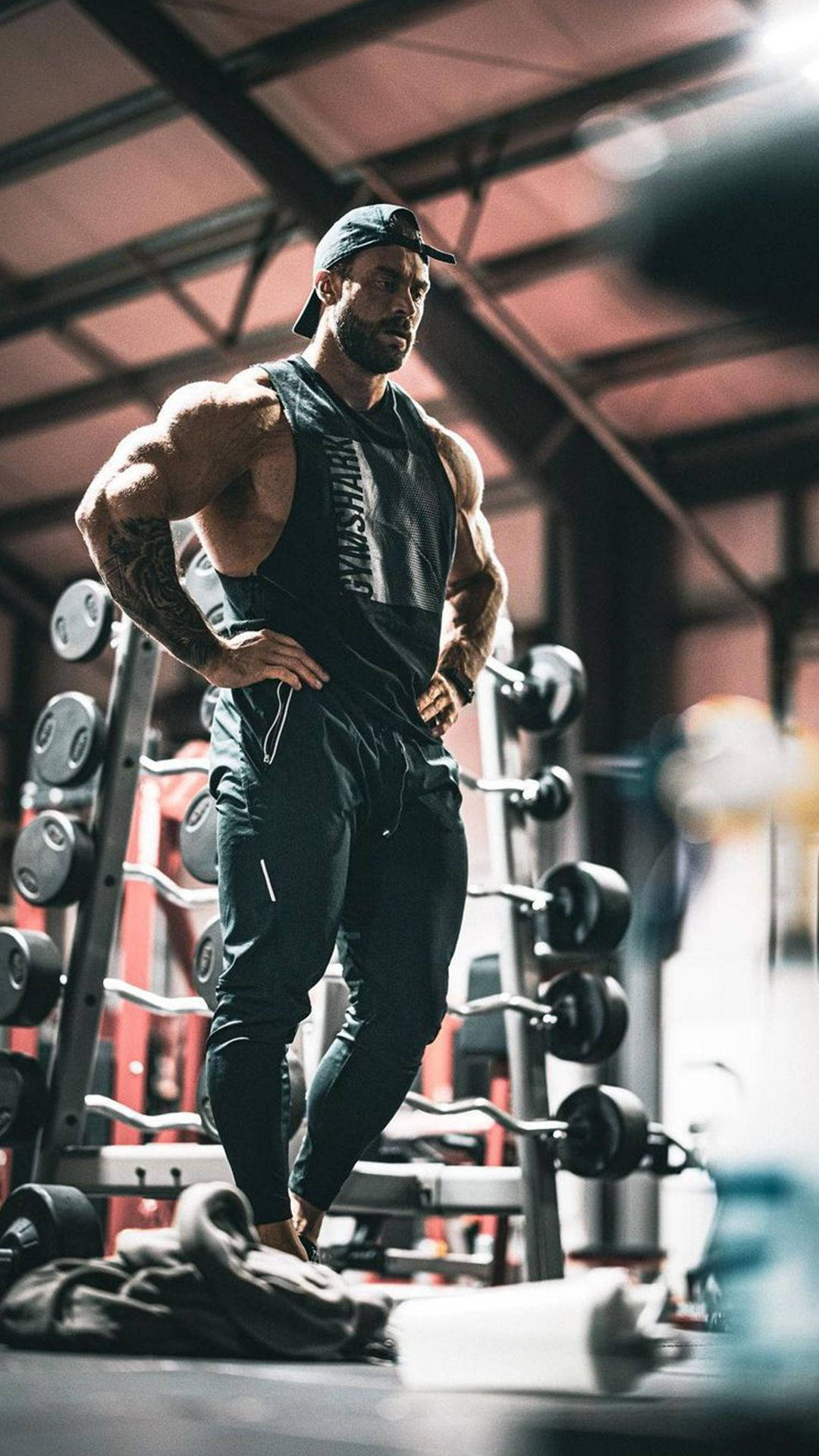 一位穿著運動服的肌肉發達男子在健身房與重量設備擺姿勢。 — Chris Bumstead 壁紙