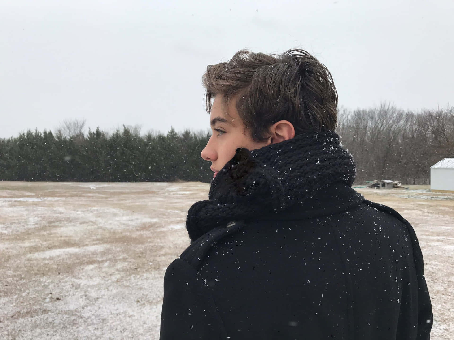  壁紙 — 一位身穿黑色外套和圍巾的年輕男子站在雪地裡，望著遠方，雪花輕輕飄落在他周圍。