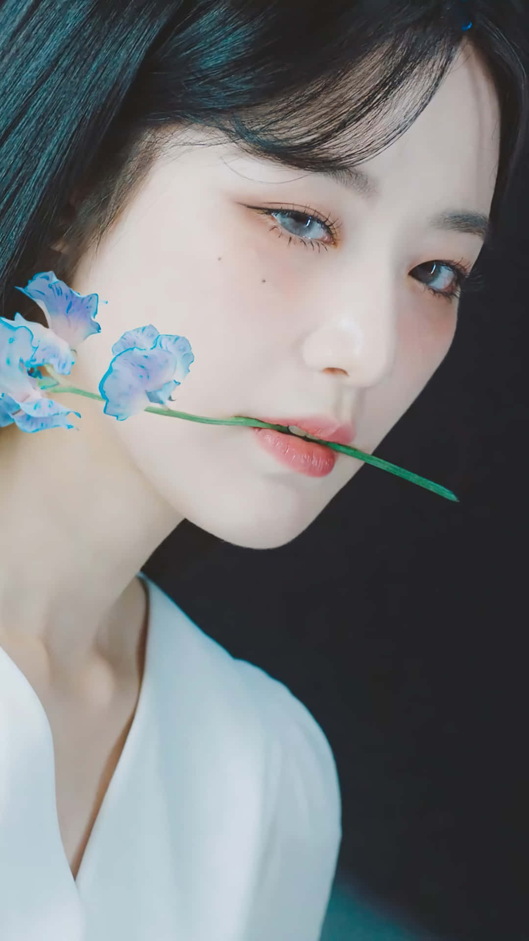  壁紙 — 一位深色頭髮的年輕女子在黑色背景前將一朵藍色花朵靠近嘴唇。
