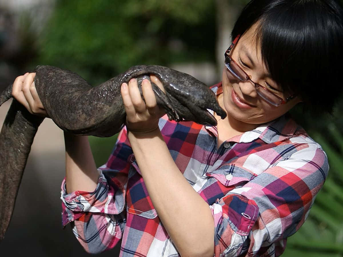  壁紙 — 一位微笑的女子身穿格紋衫，在戶外溫柔地抱著一條大黑鰻魚，背景有綠葉。