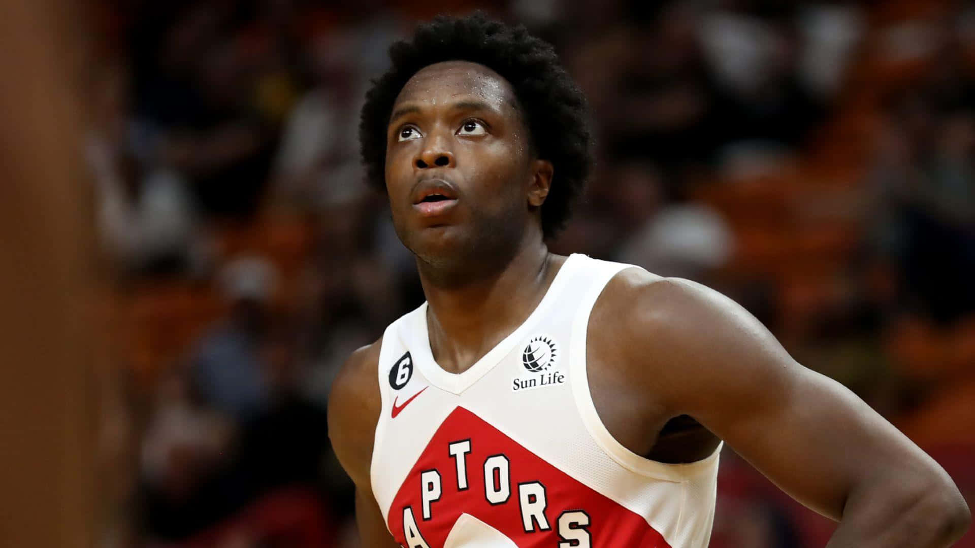 多倫多暴龍隊籃球運動員在比賽中行動。 — NBA 壁紙