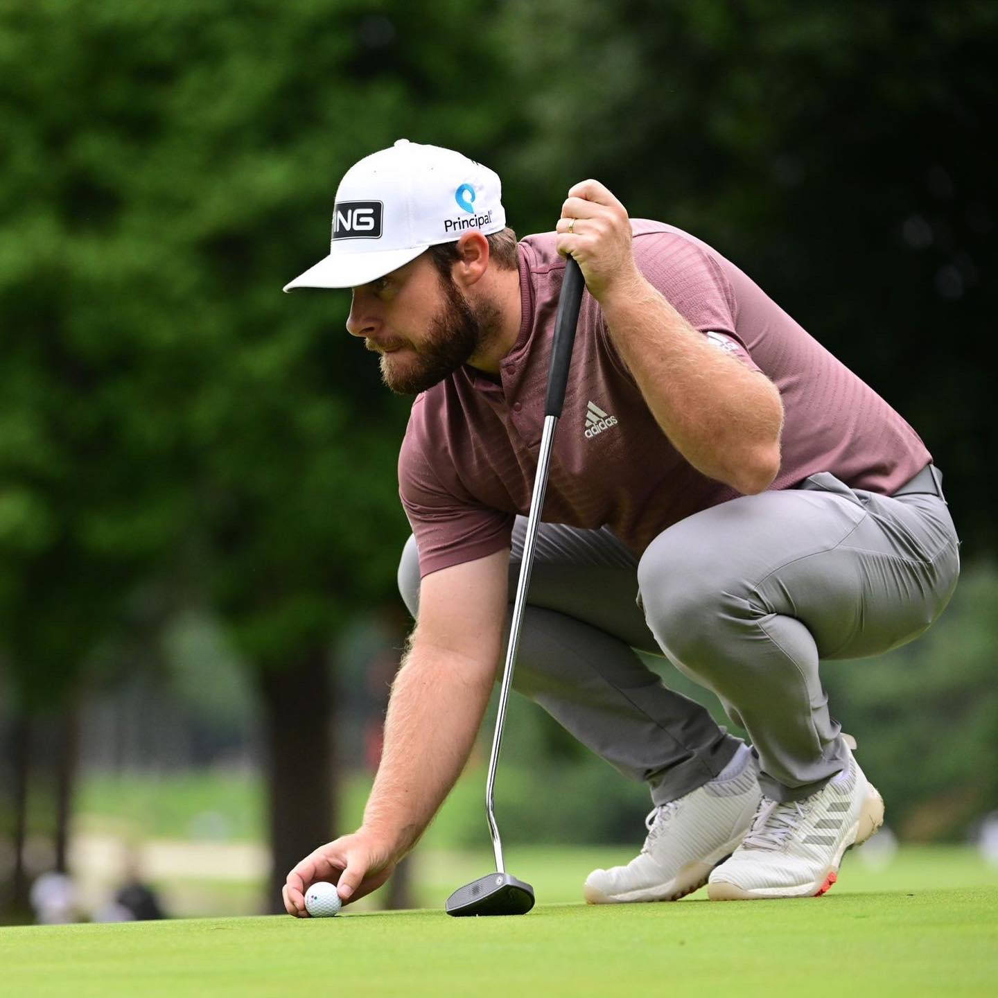 Tyrrell Hatton 桌布 壁紙 — 一位專注的高爾夫球手蹲在茂密的果嶺上，用推桿小心地放置高爾夫球。