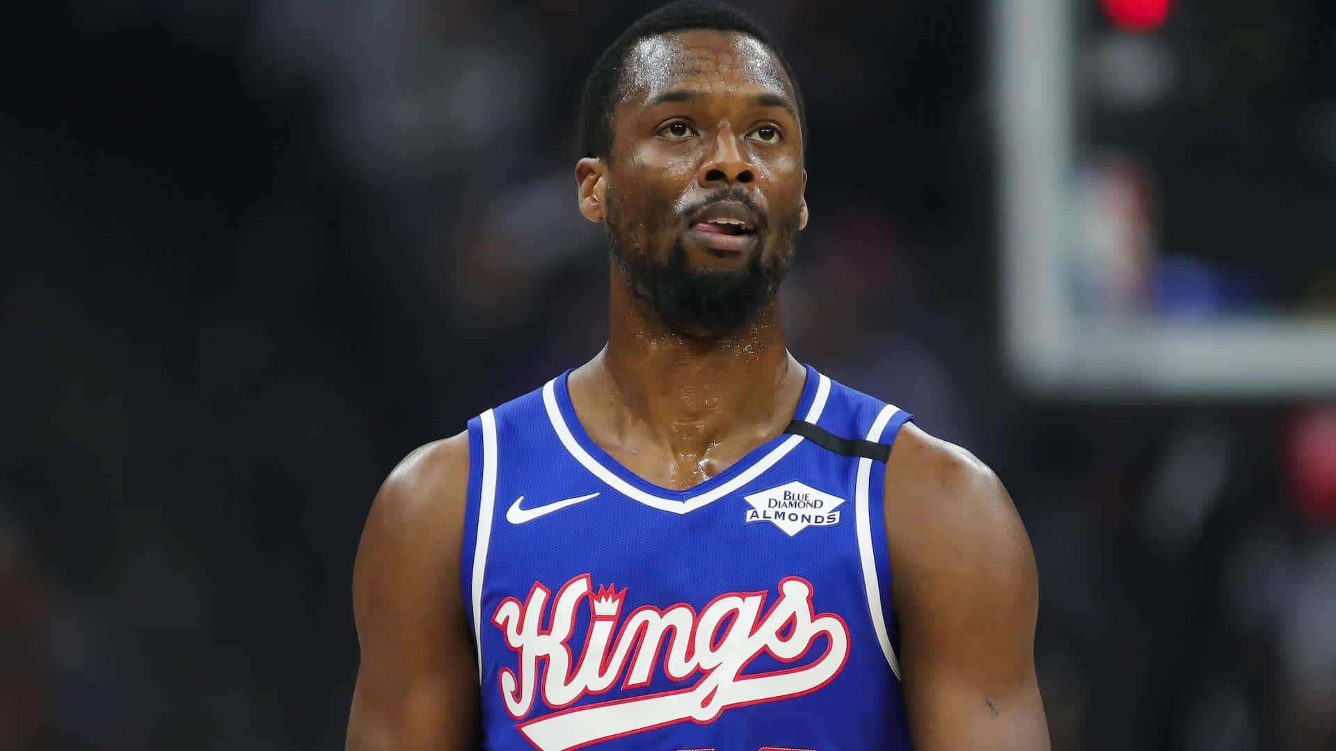 比賽中身穿藍色國王隊球衣的職業籃球運動員。 — NBA 壁紙