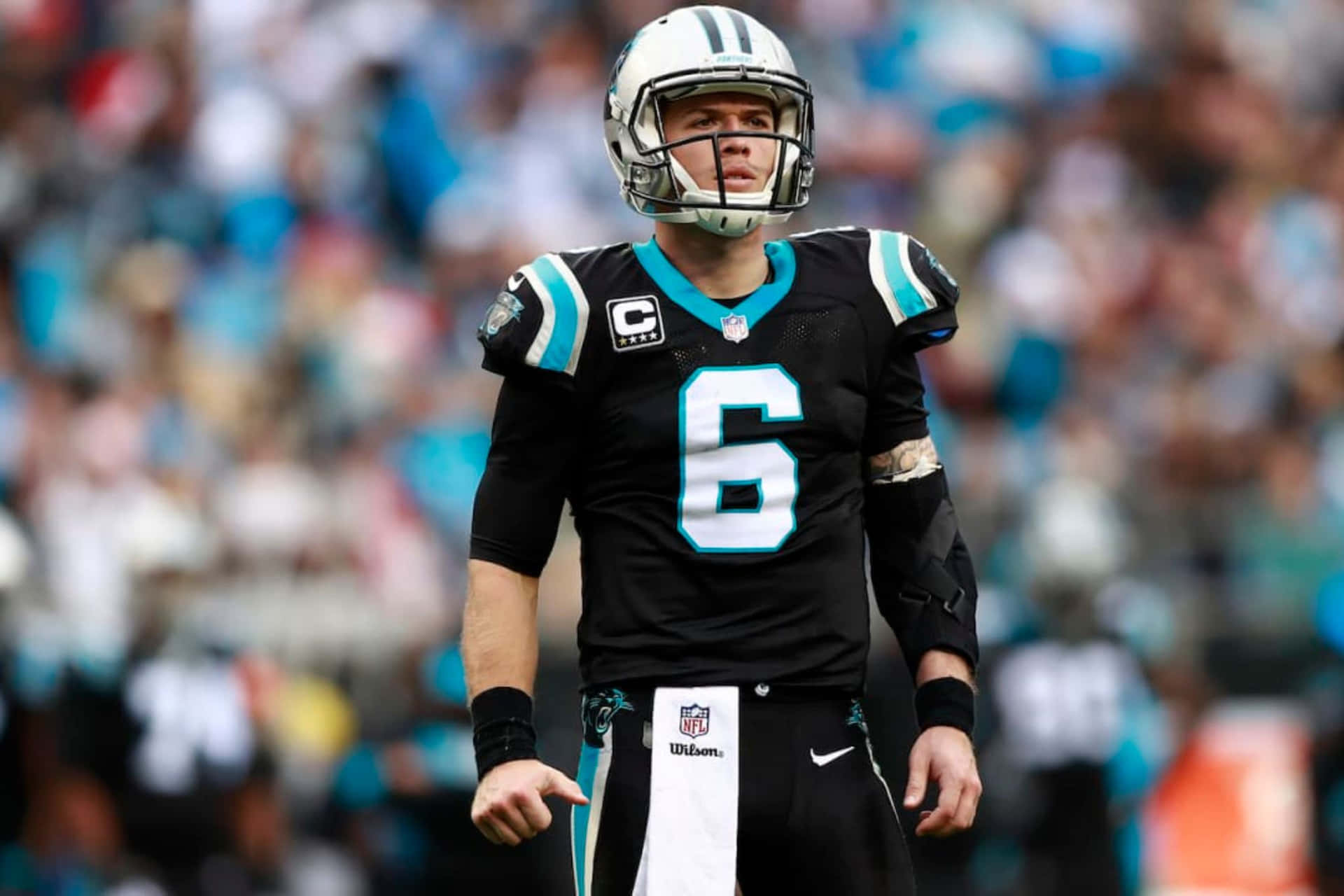  壁紙 — 一位專注的NFL四分衛穿著黑色和藍綠色的6號球衣，在比賽期間站在球場上。