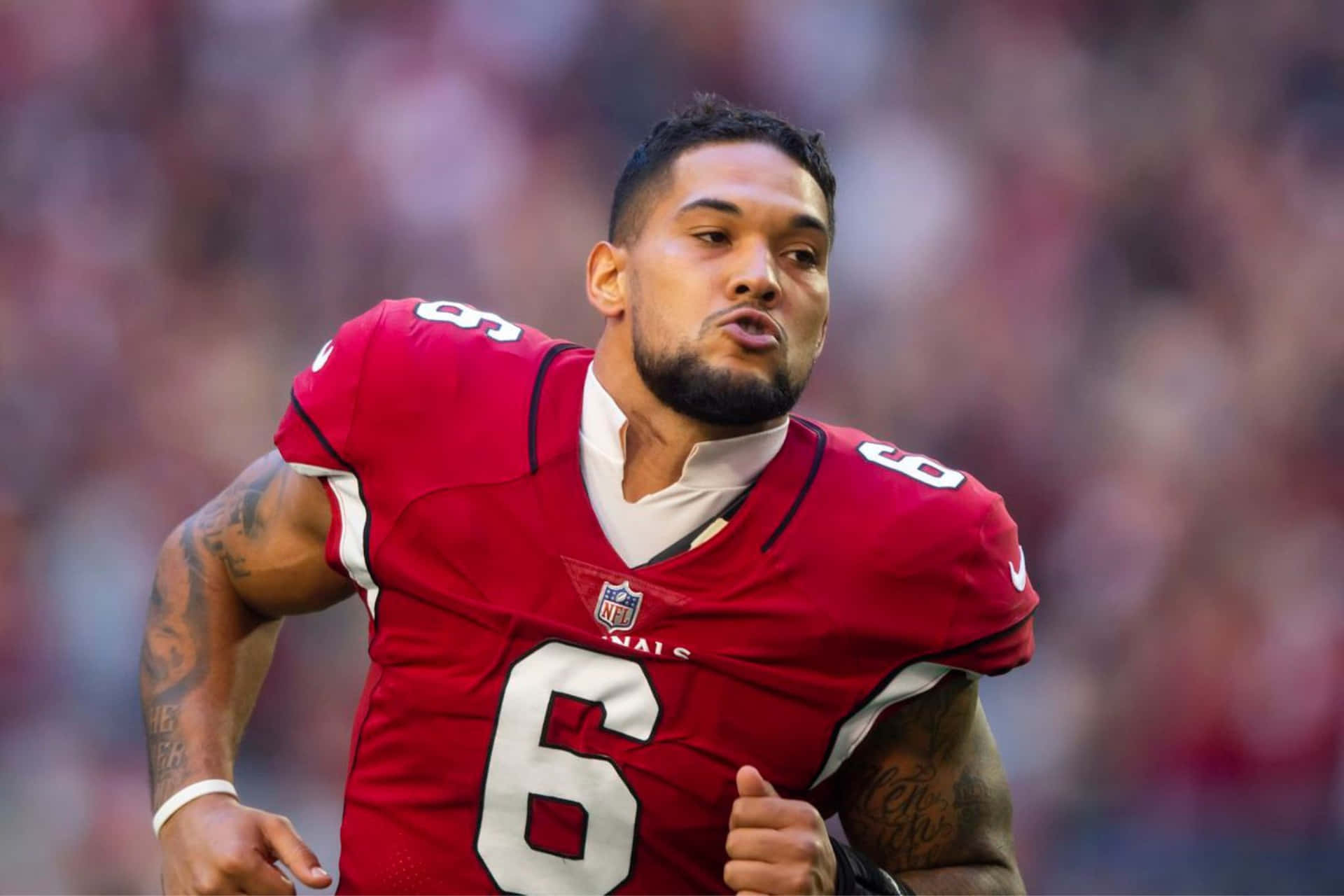  壁紙 — 一位專注的NFL四分衛身穿紅色6號球衣，在日間比賽中衝過模糊的球場。