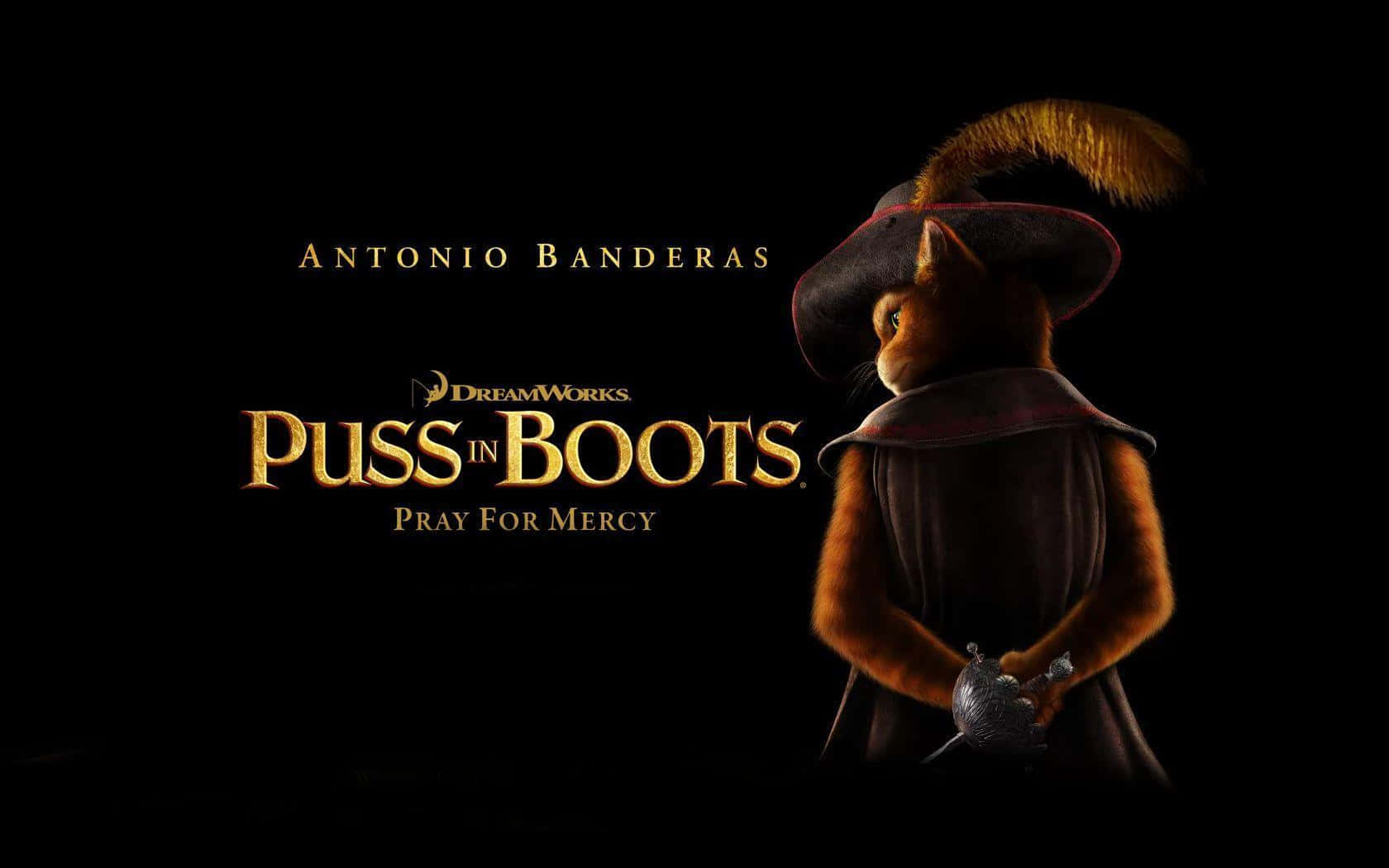 Puss In Boots The Last Wish 桌布 壁紙 — 一隻戴著羽毛帽和披風的瀟灑擬人化貓咪，在黑色背景上手持劍，並帶有金色電影標題文字。