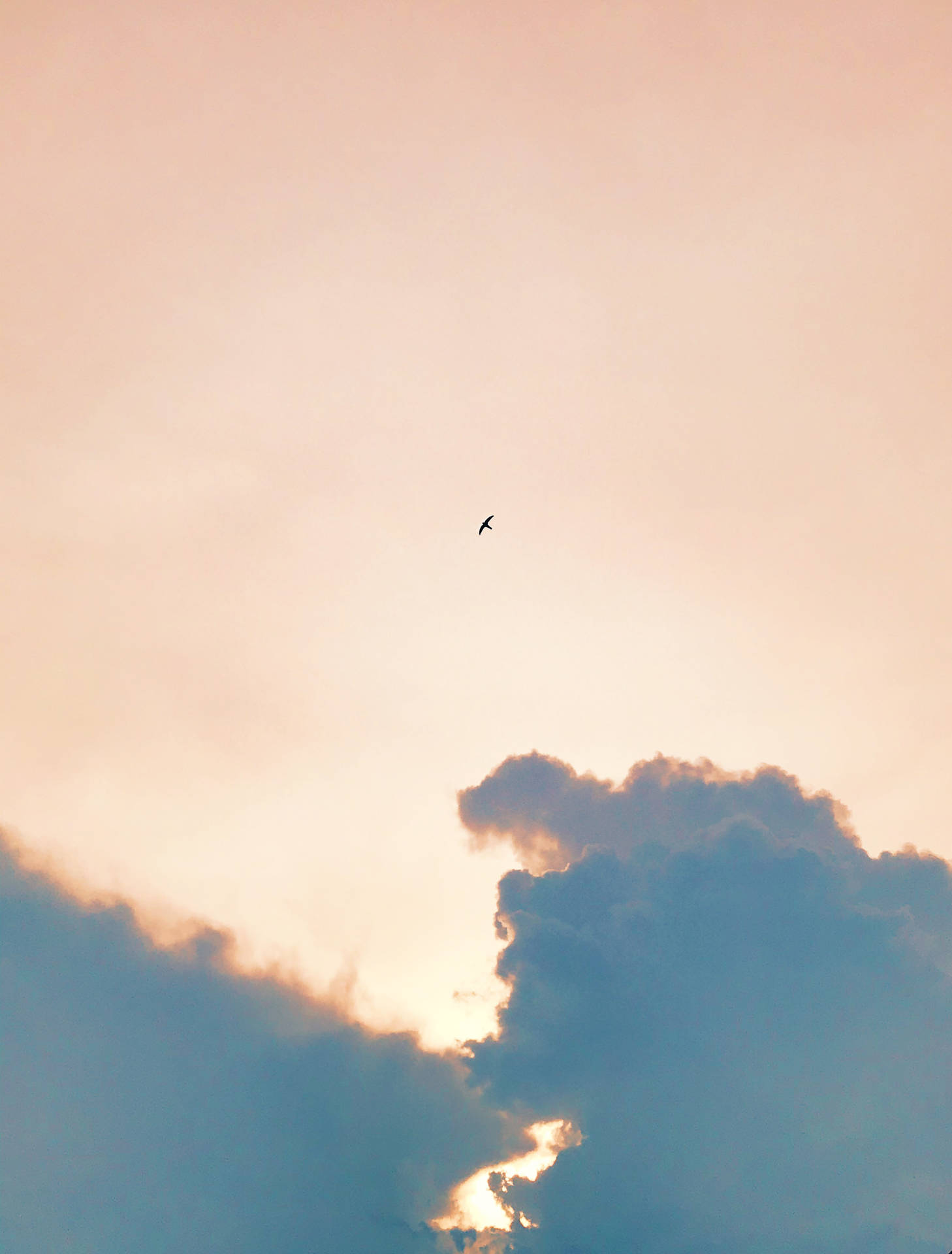 一隻鳥在色彩繽紛的暮色天空中飛翔，雲朵發光。 — 米色風格 壁紙