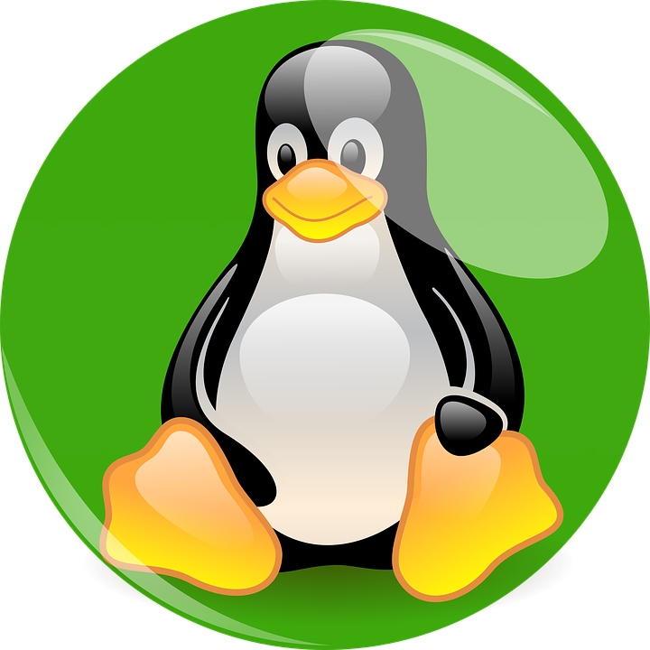 一隻黑白羽毛、橙色喙和腳的卡通企鵝，坐在一個綠色圓圈內。 — Linux 壁紙