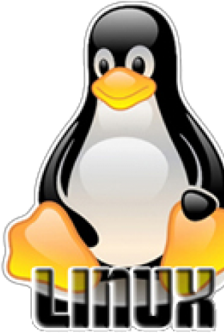 Linux企鵝吉祥物標誌，黑色、白色和橙色 — Linux 壁紙