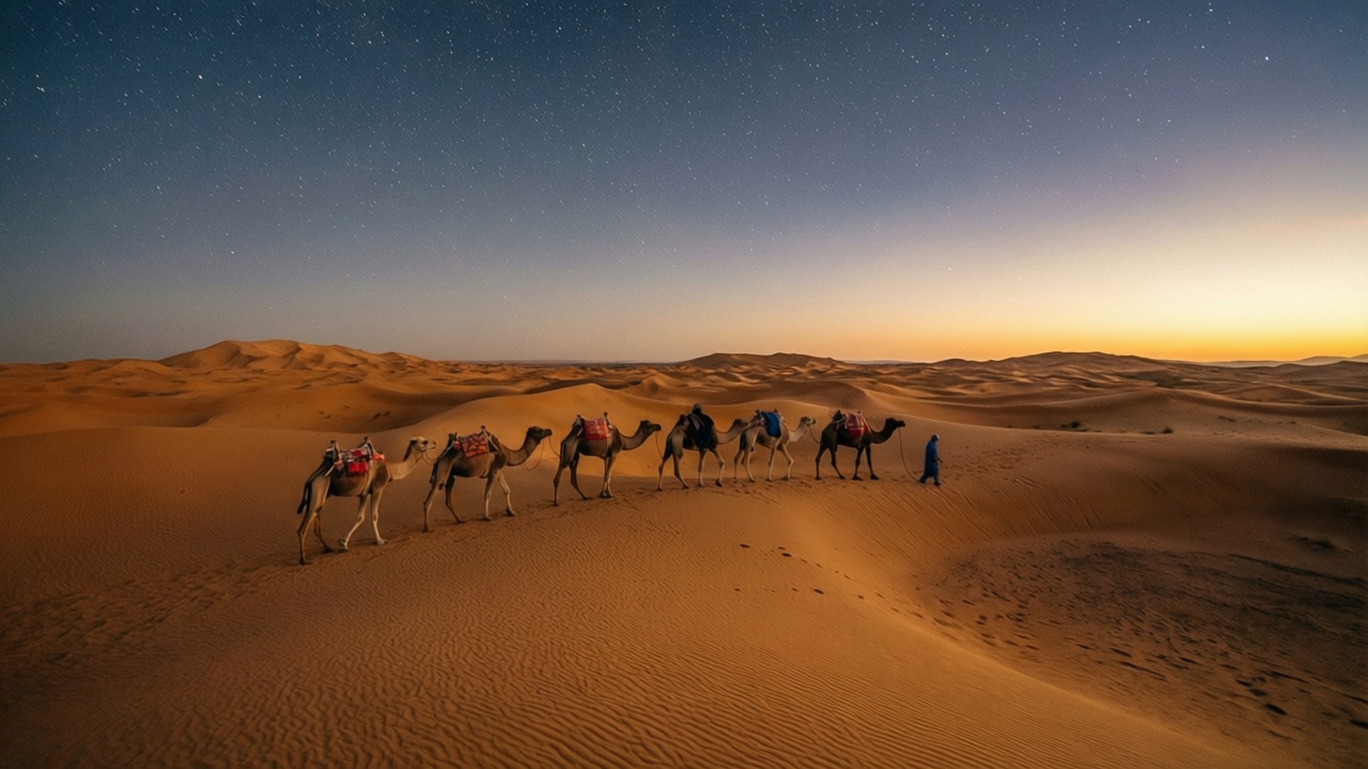 Desert Caravan 壁紙 — 一支駱駝商隊在導遊的帶領下，在星光燦爛的黃昏天空下走過金色沙丘。