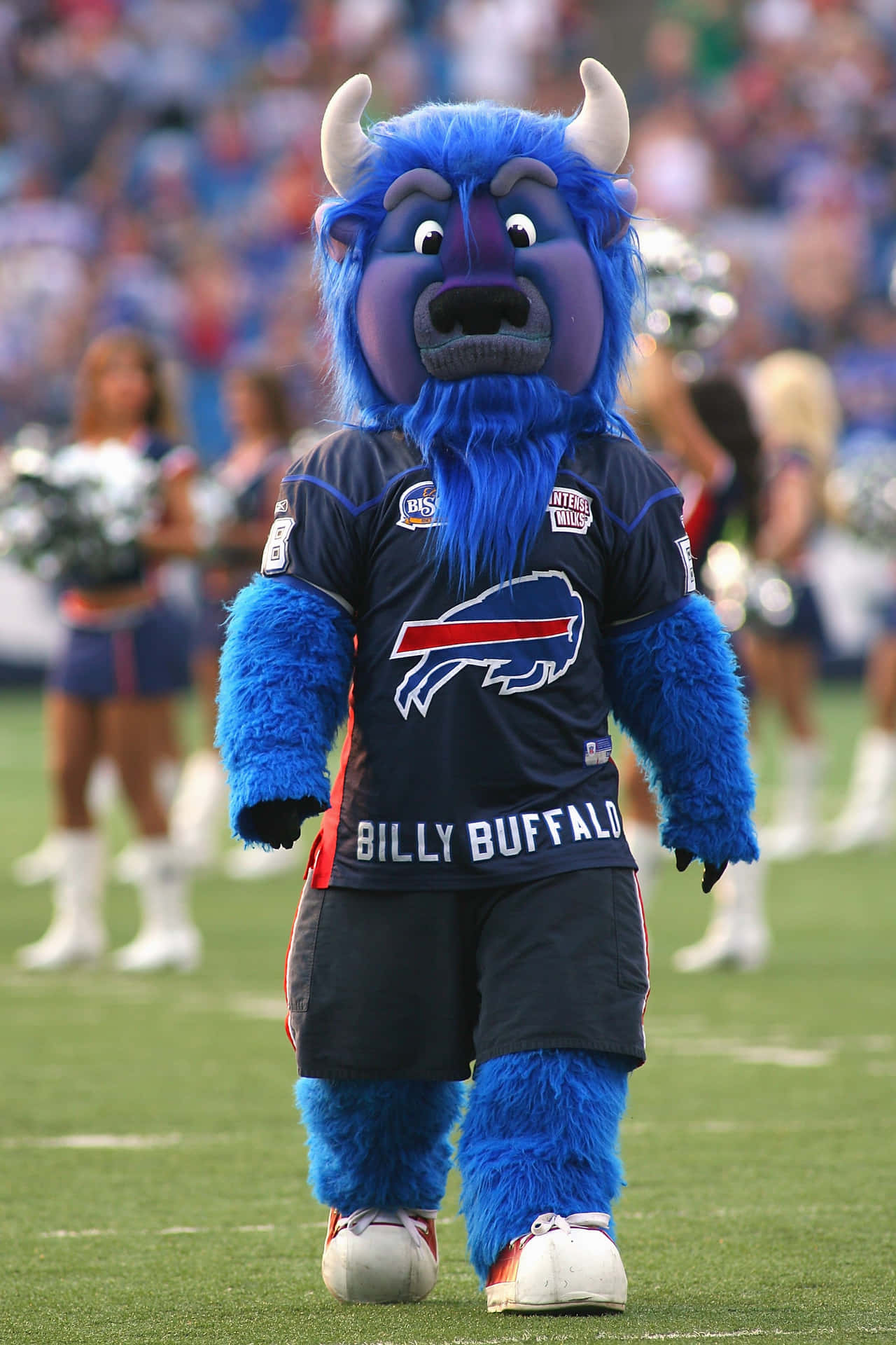  壁紙 — 一隻名叫 Billy Buffalo 的藍色毛茸茸水牛吉祥物穿著美式足球制服，在綠色球場上行走，背景有啦啦隊。
