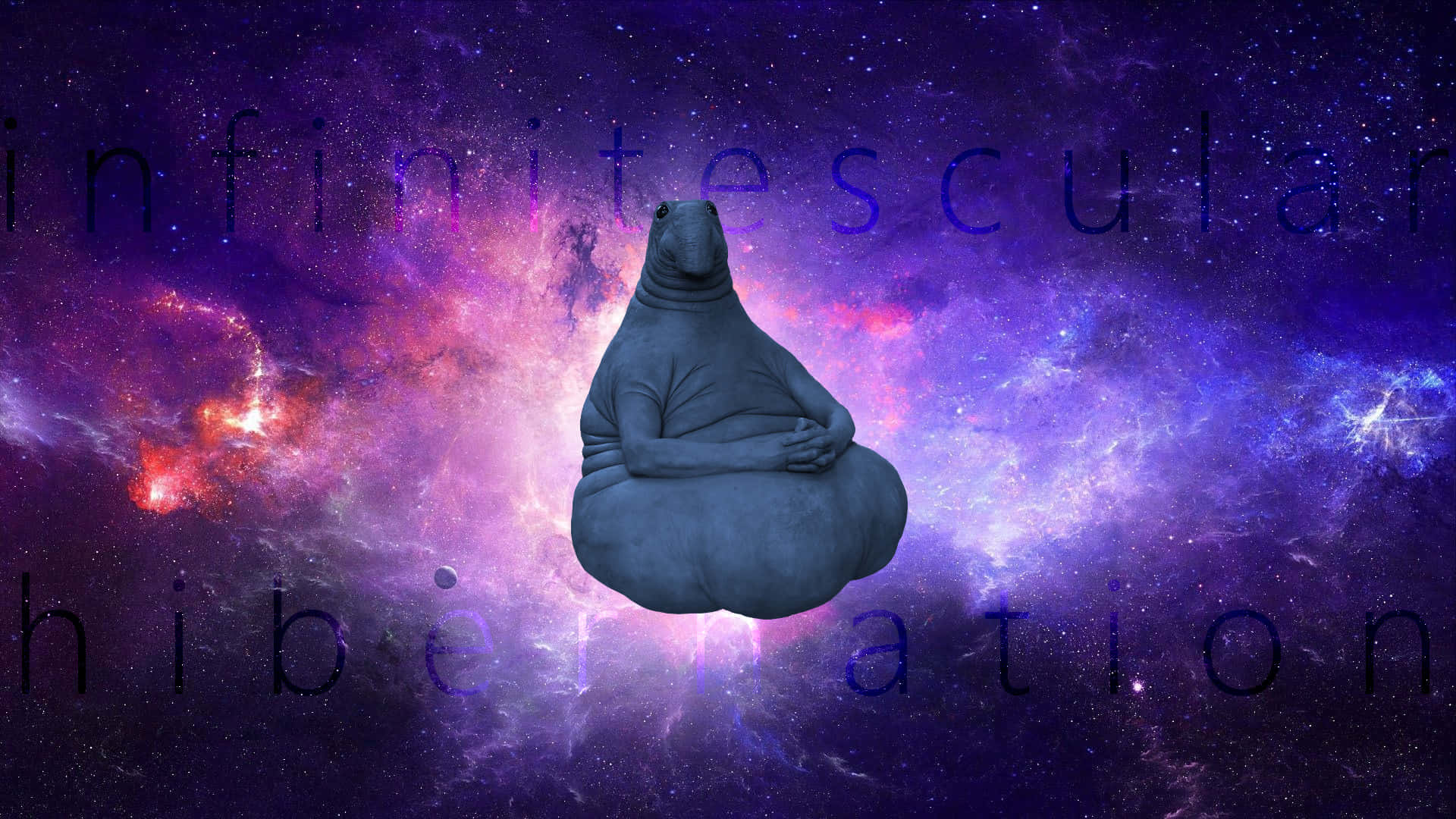Hibernation 桌布 壁紙 — 一隻平靜的海象盤腿打坐，背景是充滿活力的宇宙星雲，散發著紫色和粉紅色的光芒。