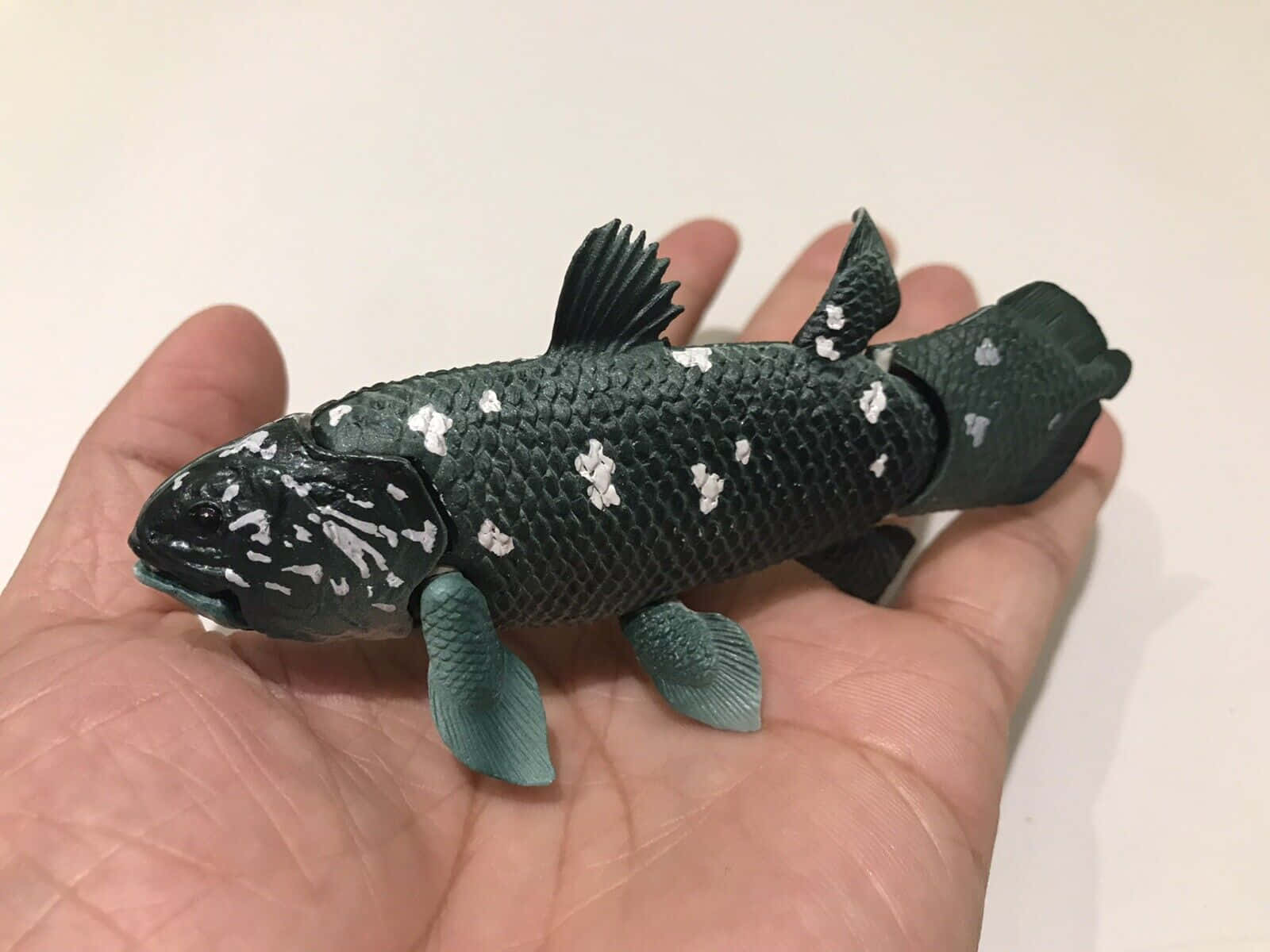  壁紙 — 一隻手拿著一個詳細的深綠色化石魚模型，帶有白色斑點和紋理鱗片，背景為純色。