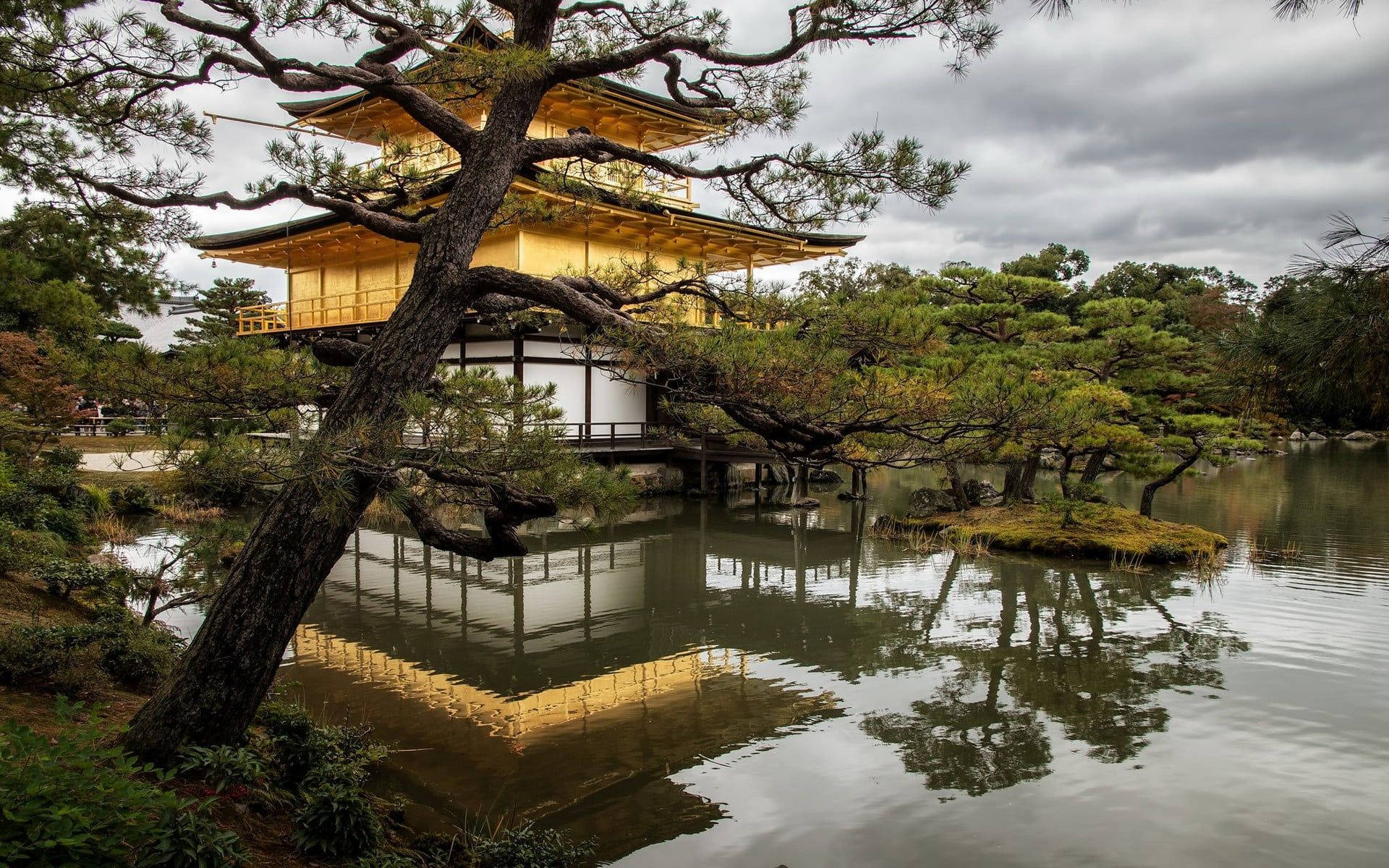 金色寶塔倒映在池塘中，前景有松樹，陰天。 — 京都 壁紙