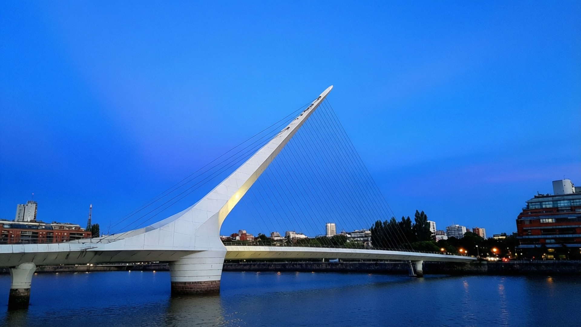 Women's Bridge Blue Hour 壁紙 — 一座時尚的白色現代橋樑，帶有電纜支撐，橫跨在深藍色暮色天空下的平靜河流上。