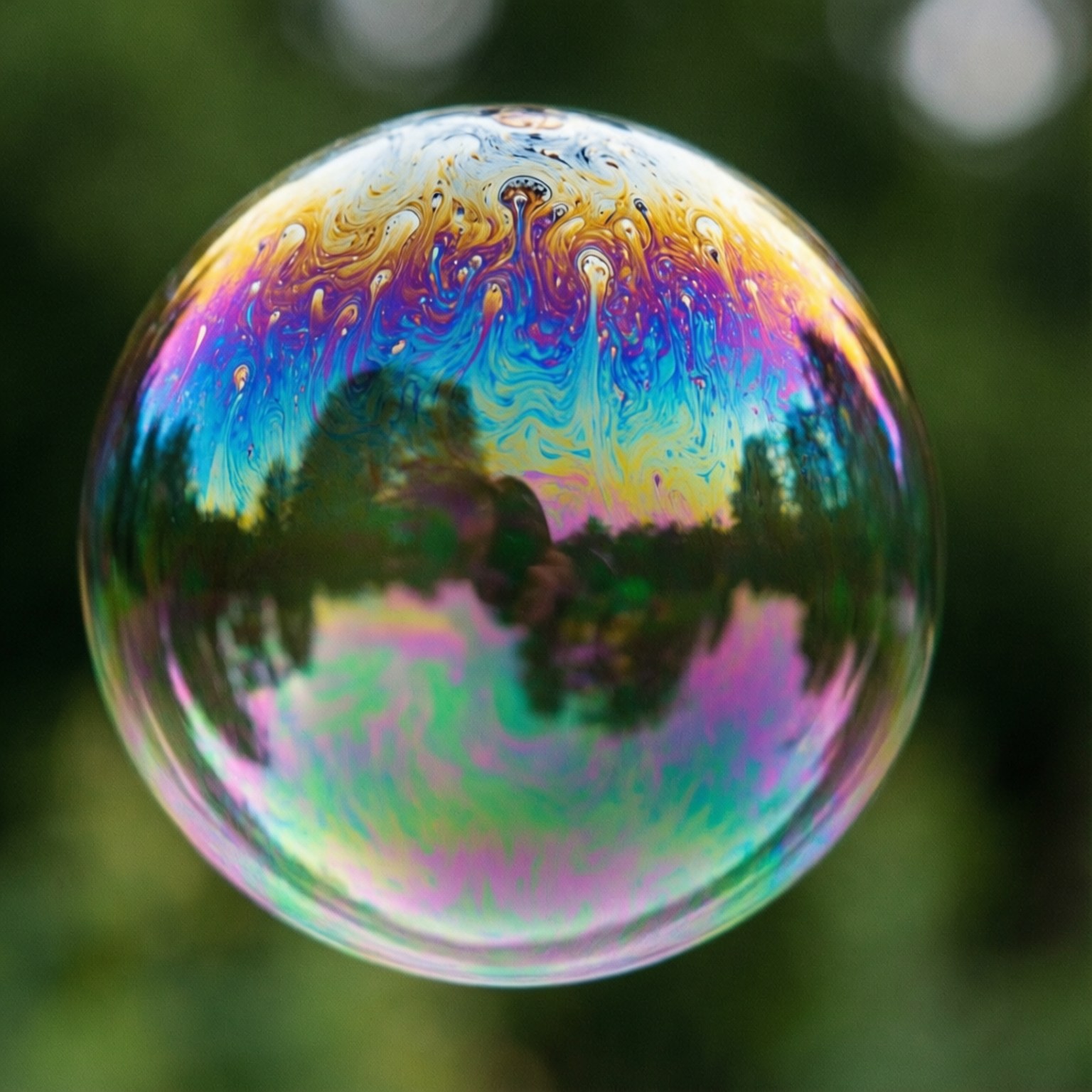 Iridescent Pride Bubble 壁紙 — 一個單一的彩虹色肥皂泡漂浮在模糊的綠色背景上，在其閃爍的表面反射樹木和天空。