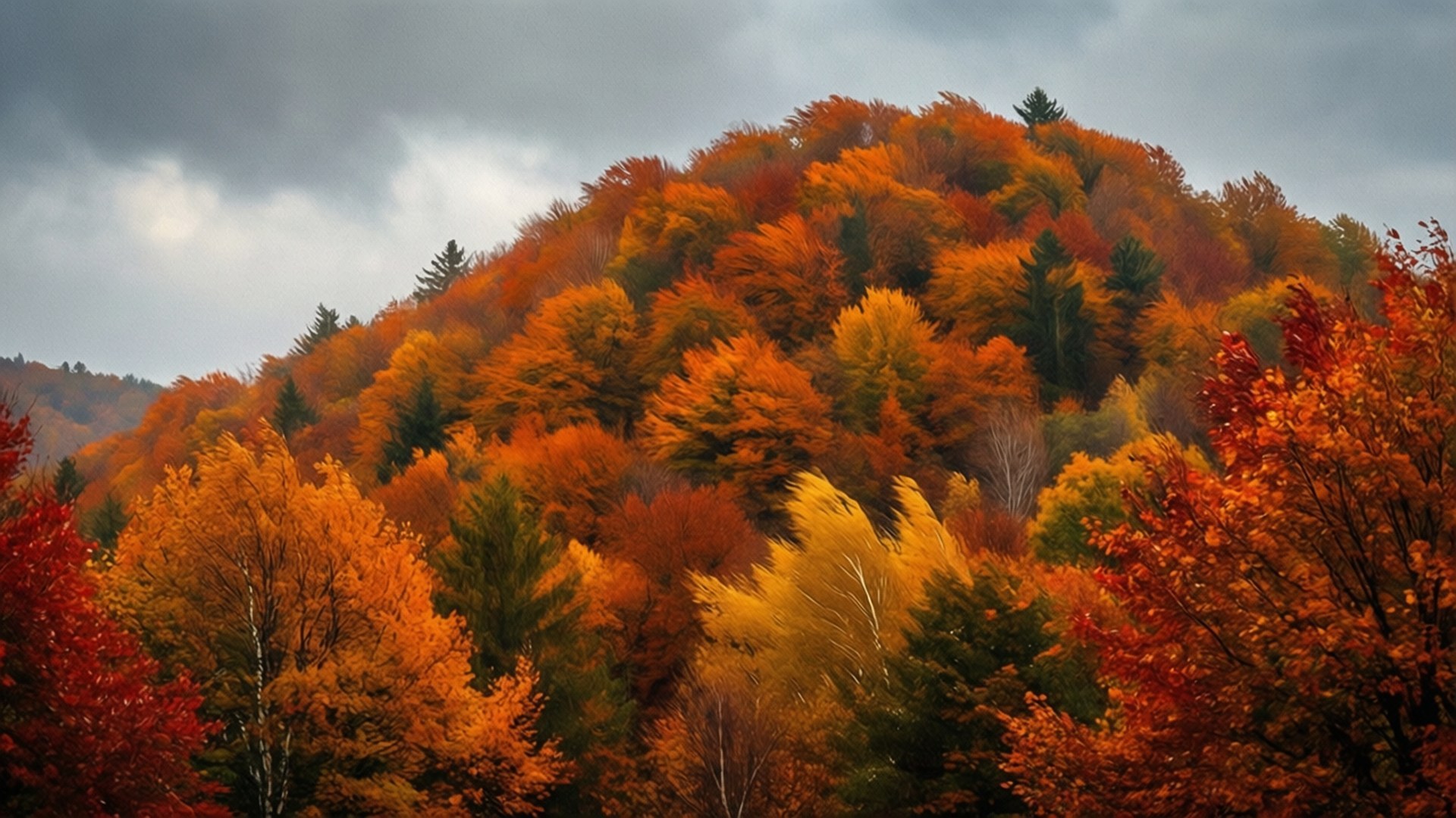 Autumn Bliss 壁紙 — 一個山坡上覆蓋著鮮豔的橙色、紅色和黃色秋葉，天空多雲灰濛濛。