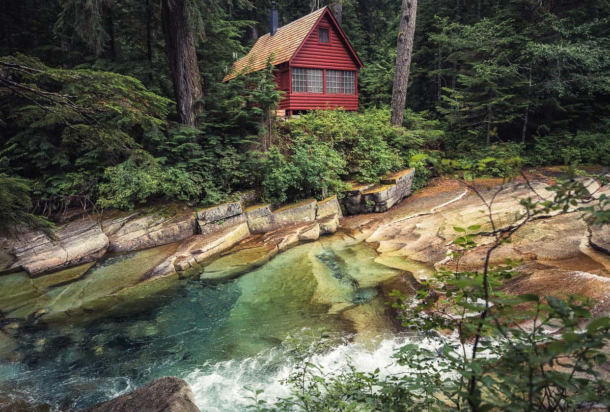 Fall Cabin 桌布 壁紙 — 一間鮮紅色的小屋坐落在高聳的常綠樹之間，旁邊是一條清澈湍急的小溪。