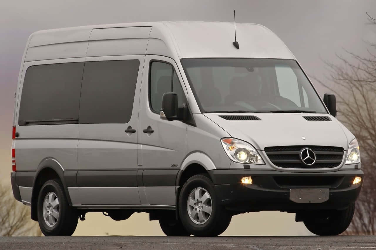 Mercedes Benz Sprinter 桌布 壁紙 — 一輛銀色 Mercedes-Benz Sprinter 客貨車停在柏油路上，背景有光禿的樹木和陰天。