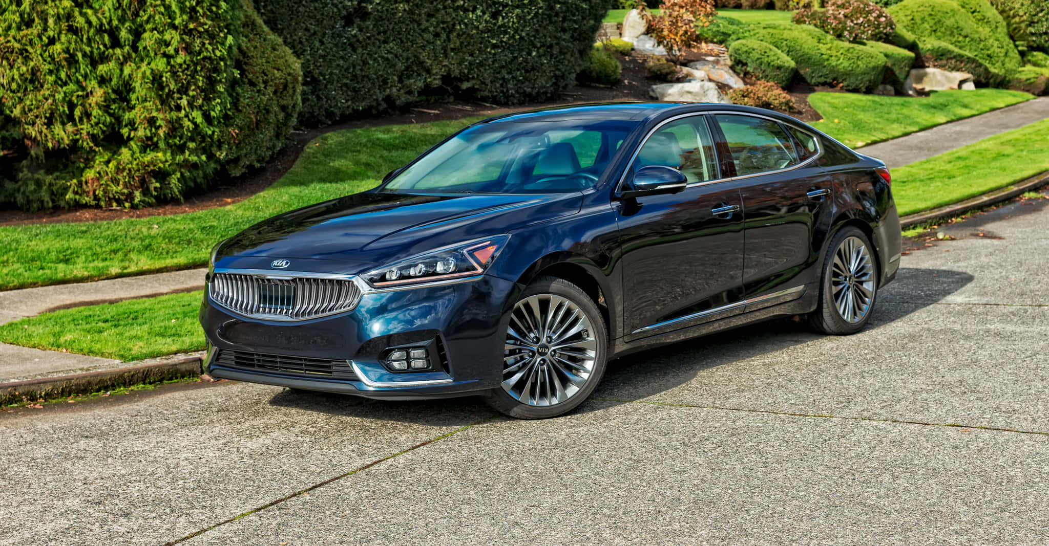 Kia Cadenza 桌布 壁紙 — 一輛時尚的黑色Kia轎車在明亮的陽光下閃閃發光，停在混凝土車道上，旁邊是修剪整齊的綠色草坪和灌木。