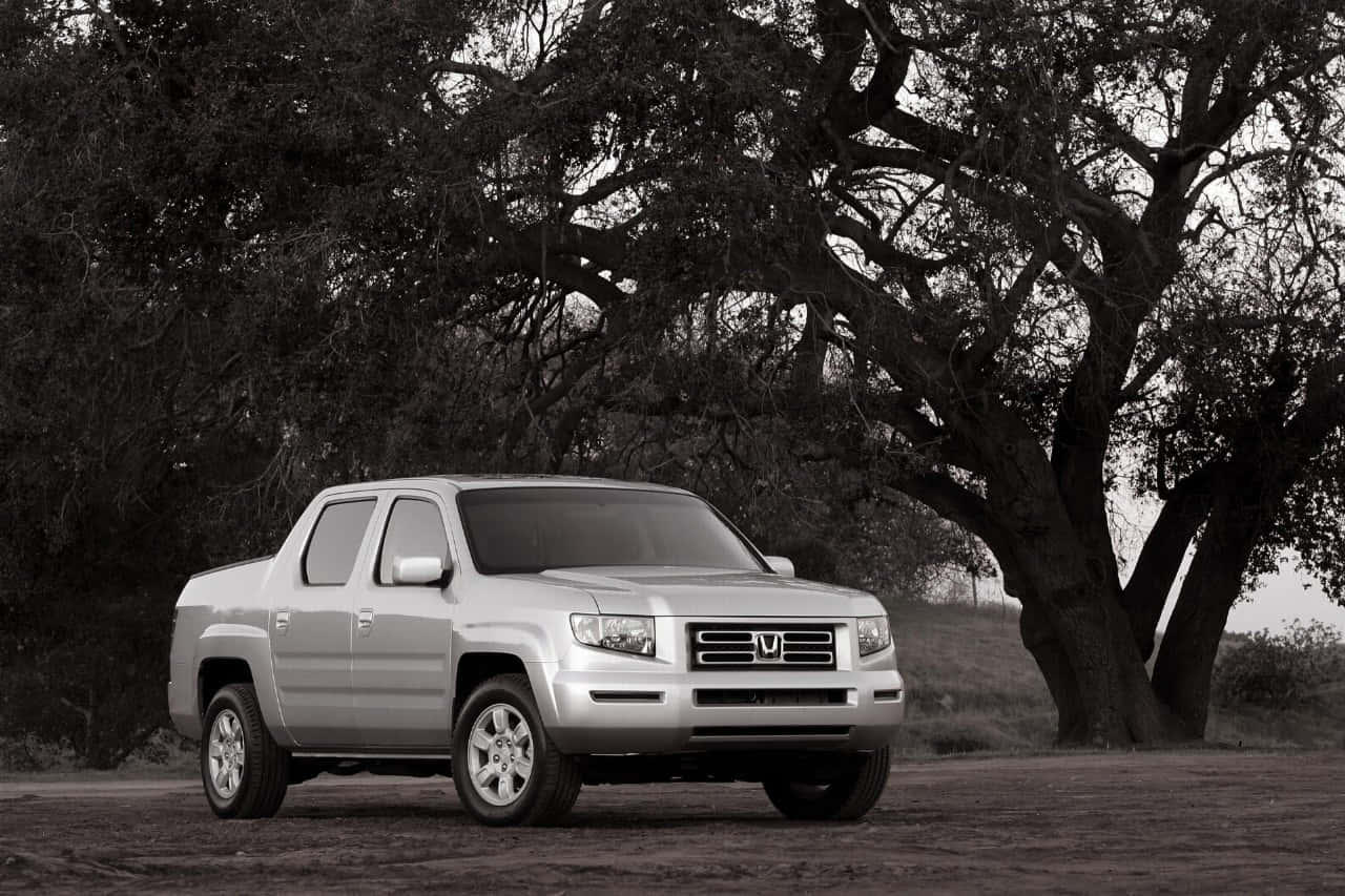 Honda Ridgeline 桌布 壁紙 — 一輛銀色本田Ridgeline皮卡車停放在單色風景中，大樹枝葉茂密之下。
