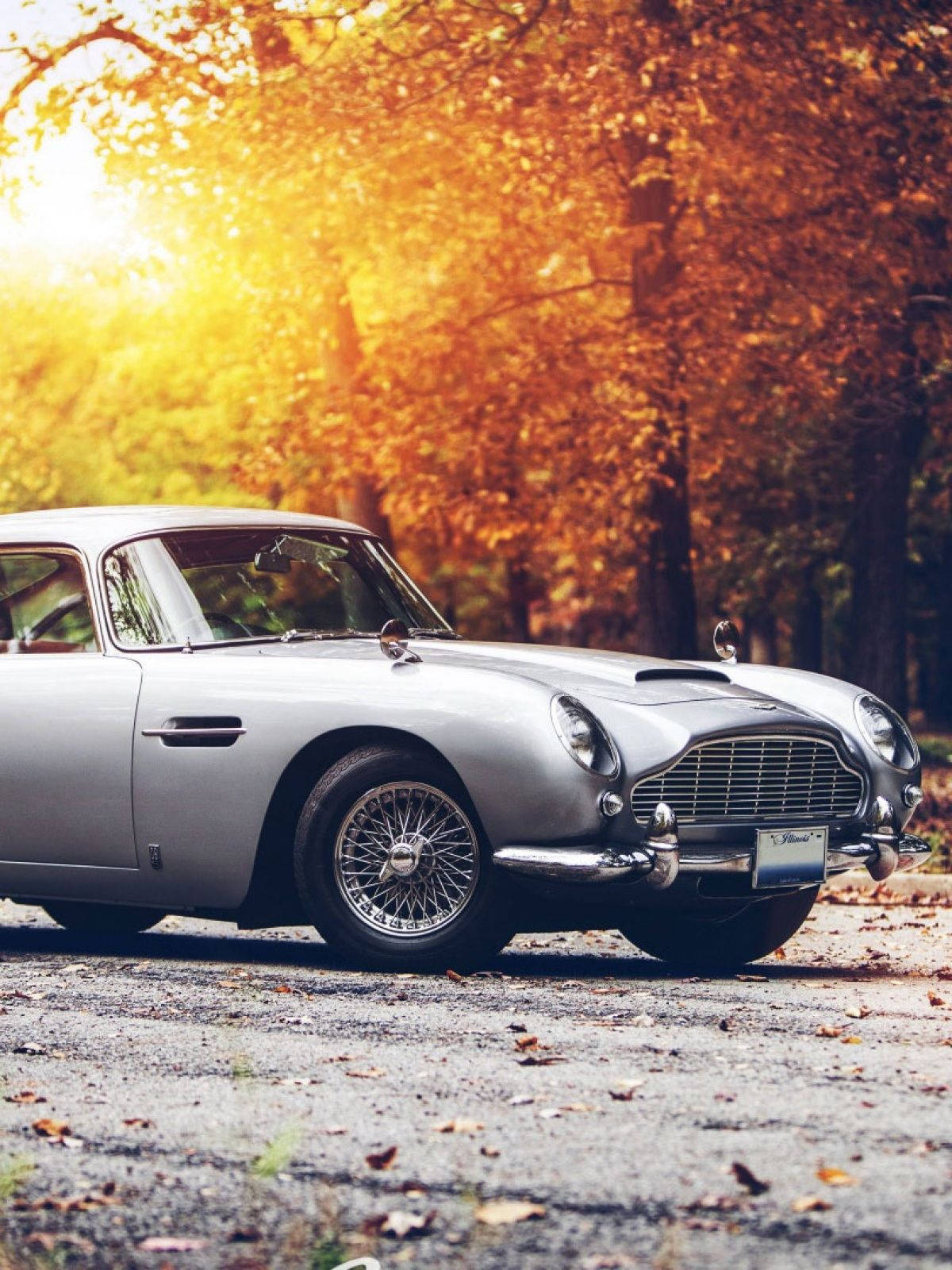 銀色經典 Aston Martin DB5 停在秋季森林道路上，有金黃落葉和陽光耀斑。 — 經典汽車 壁紙
