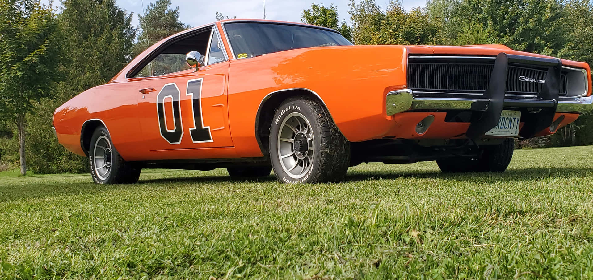 橙色經典汽車，車號01，停在樹旁的草地上 — General Lee 車 壁紙