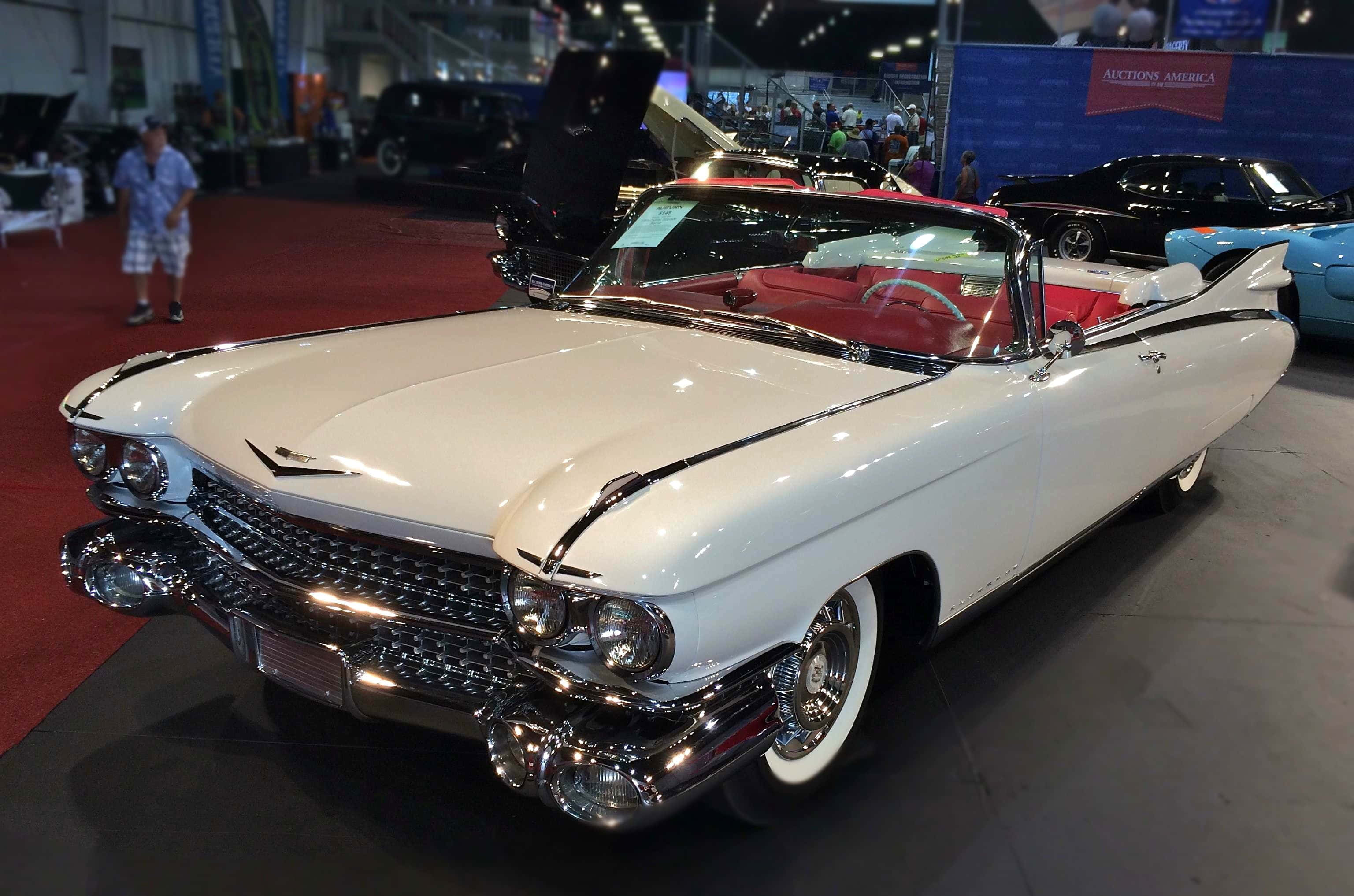 Cadillac Eldorado 桌布 壁紙 — 一輛完美無瑕的白色1959年凱迪拉克敞篷車，配紅色內裝，在室內車展的明亮燈光下閃閃發光。