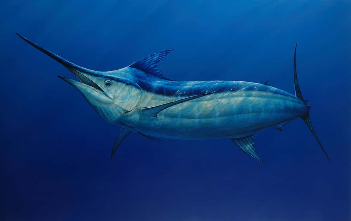  壁紙 — 一條流線型的馬林魚在深藍色海洋中滑行，陽光從上方過濾而下。