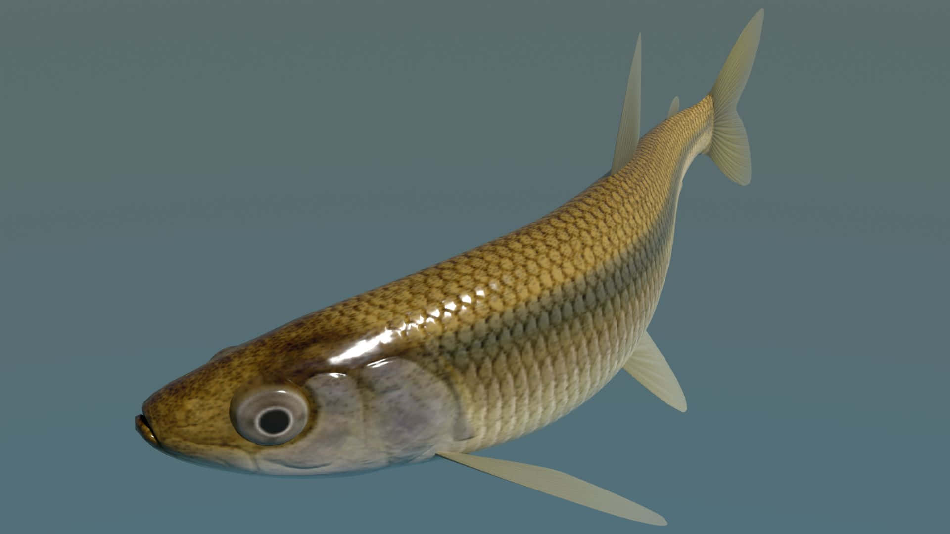 壁紙 — 一條細節豐富的3D渲染魚，帶有金色鱗片和半透明魚鰭，在柔和的藍色背景中游動。
