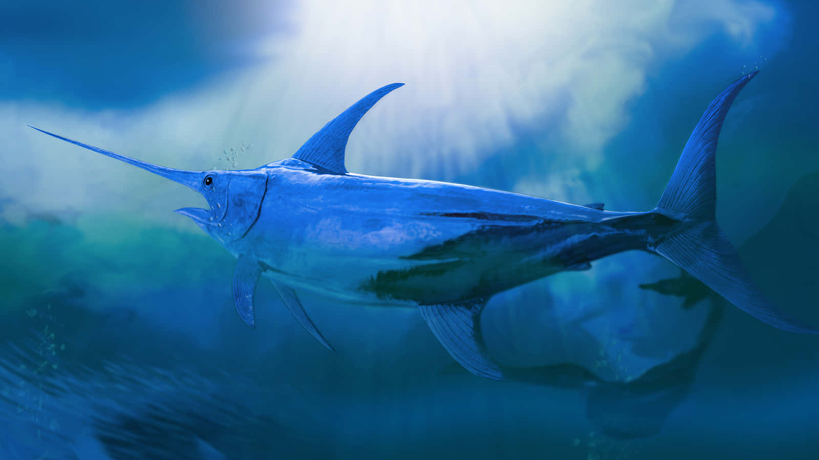  壁紙 — 一條流線型的藍色馬林魚在陽光照射的海水中滑行，光線穿透上方的水面。