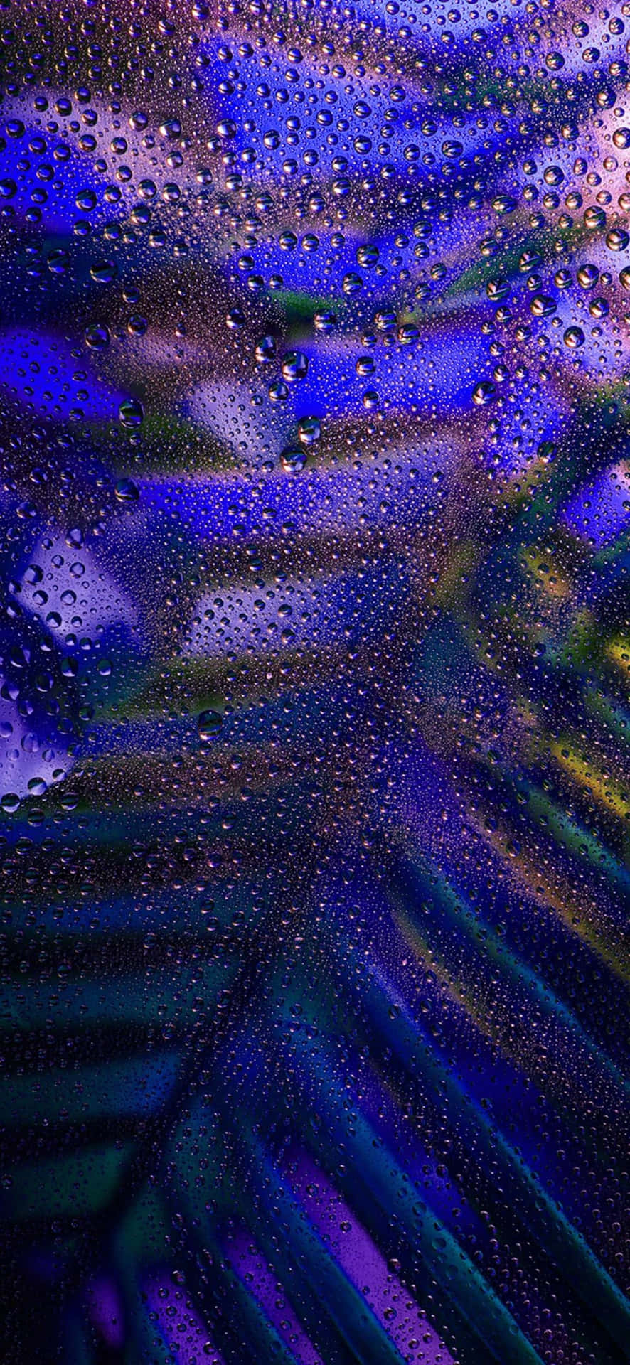  壁紙 — 雨滴依附在玻璃上，顯露出背後深藍、紫和綠色的鮮豔抽象模糊。
