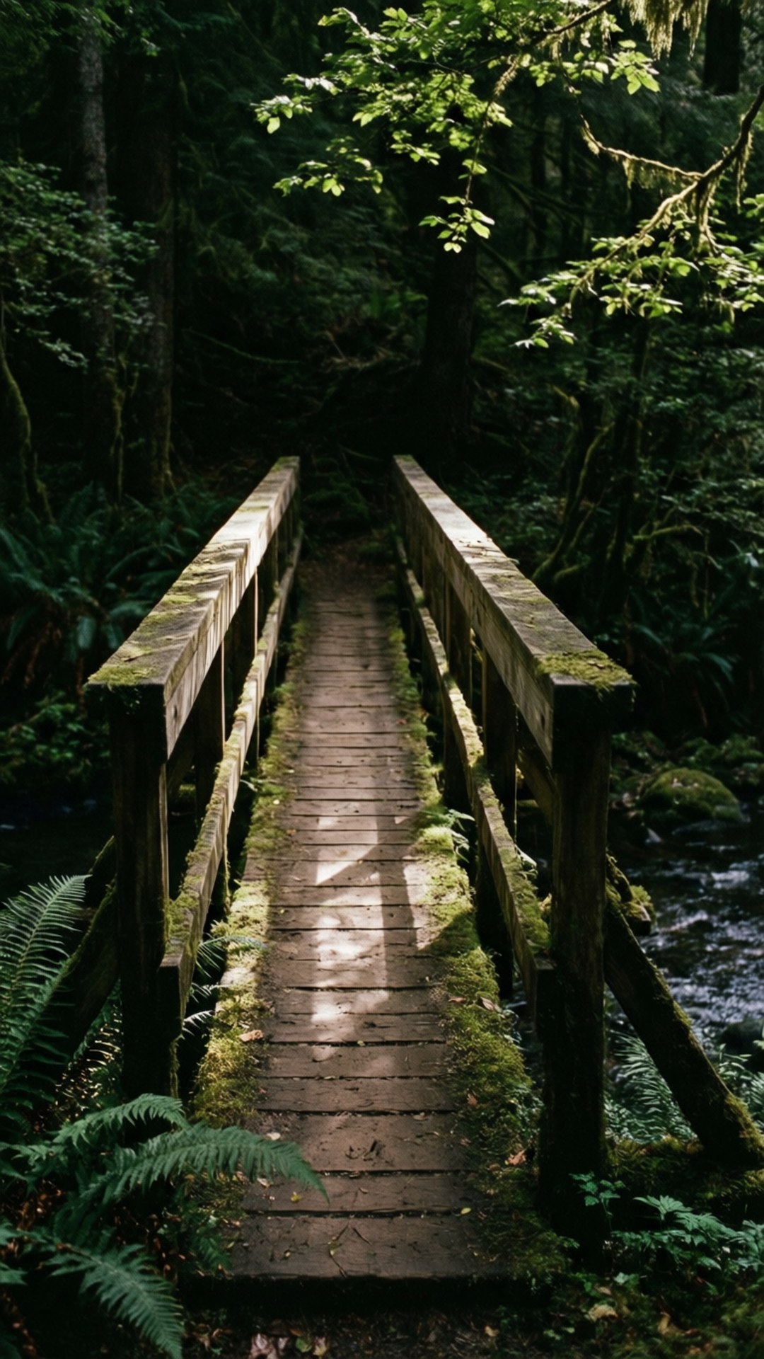 Wooden Bridge Stream 壁紙 — 一座長滿苔蘚的木橋拱起在茂密綠林中一條湍急的小溪上，斑駁的陽光透過樹冠灑落。