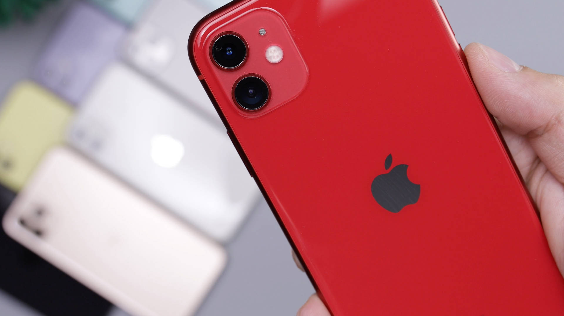 手拿著紅色iPhone 11，其他電話在背景模糊。 — iPhone 11 壁紙