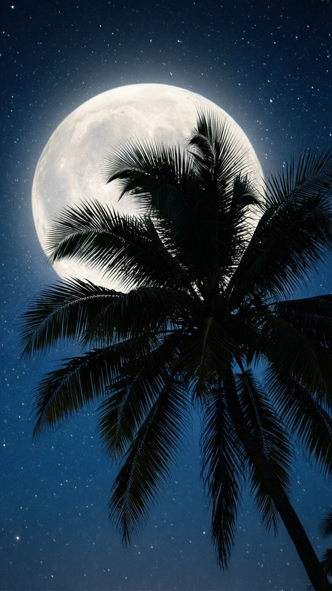 Moonlit Palm Silhouette 壁紙 — 一棵棕櫚樹的剪影框住了一個巨大的滿月，背景是繁星點點的深藍色夜空。