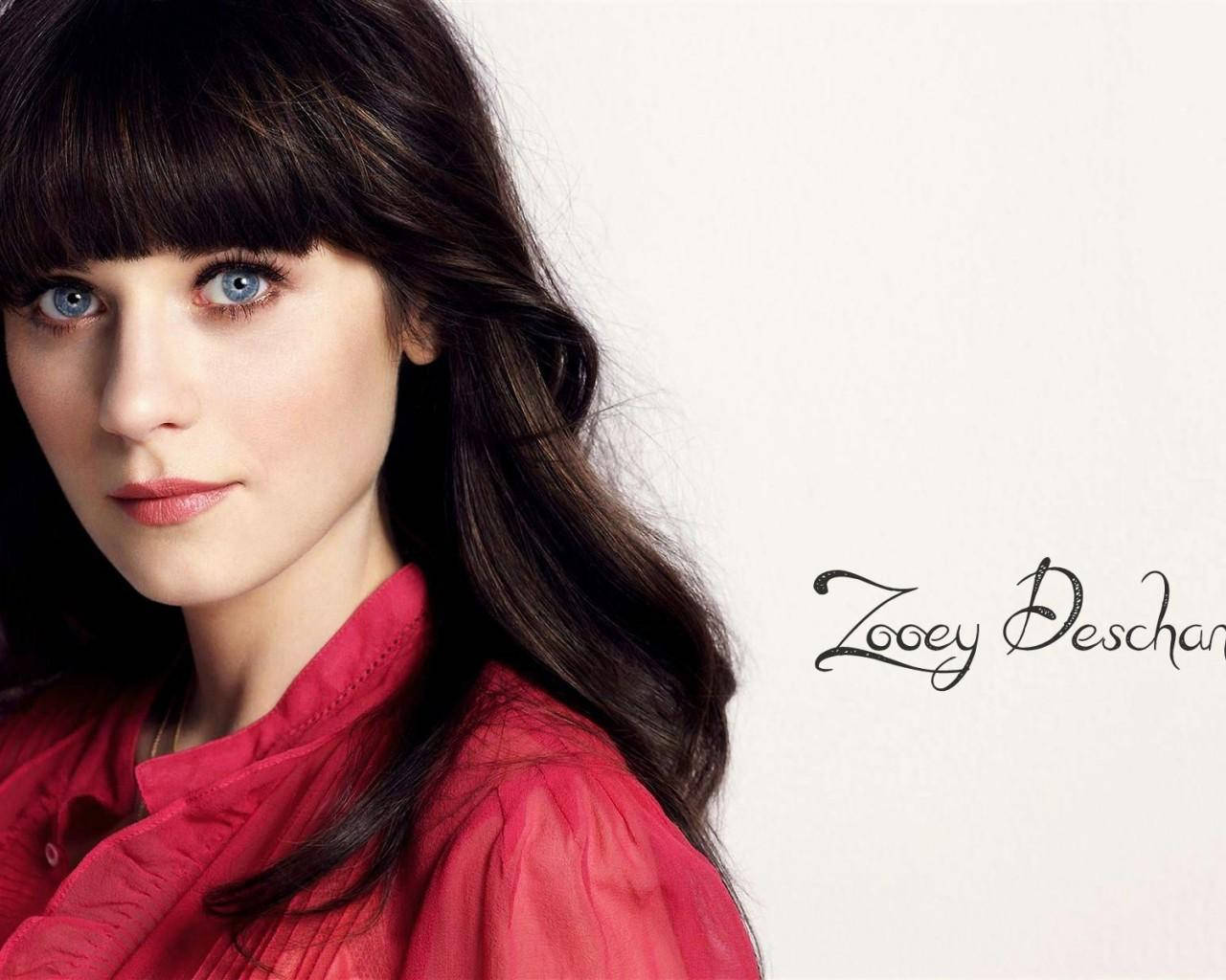 Celebrity 桌布 壁紙 — Zooey Deschanel 穿著鮮紅色襯衫，在簡約白色背景下溫柔地凝視觀眾。