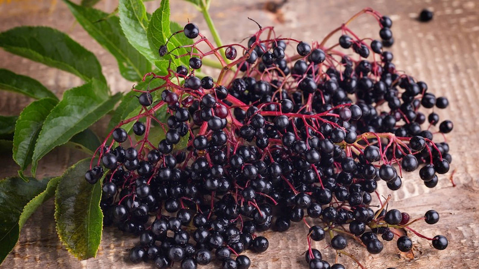 Fruits 桌布 壁紙 — 一串光澤黑色接骨木莓配綠葉，放在經風化的木質表面上。
