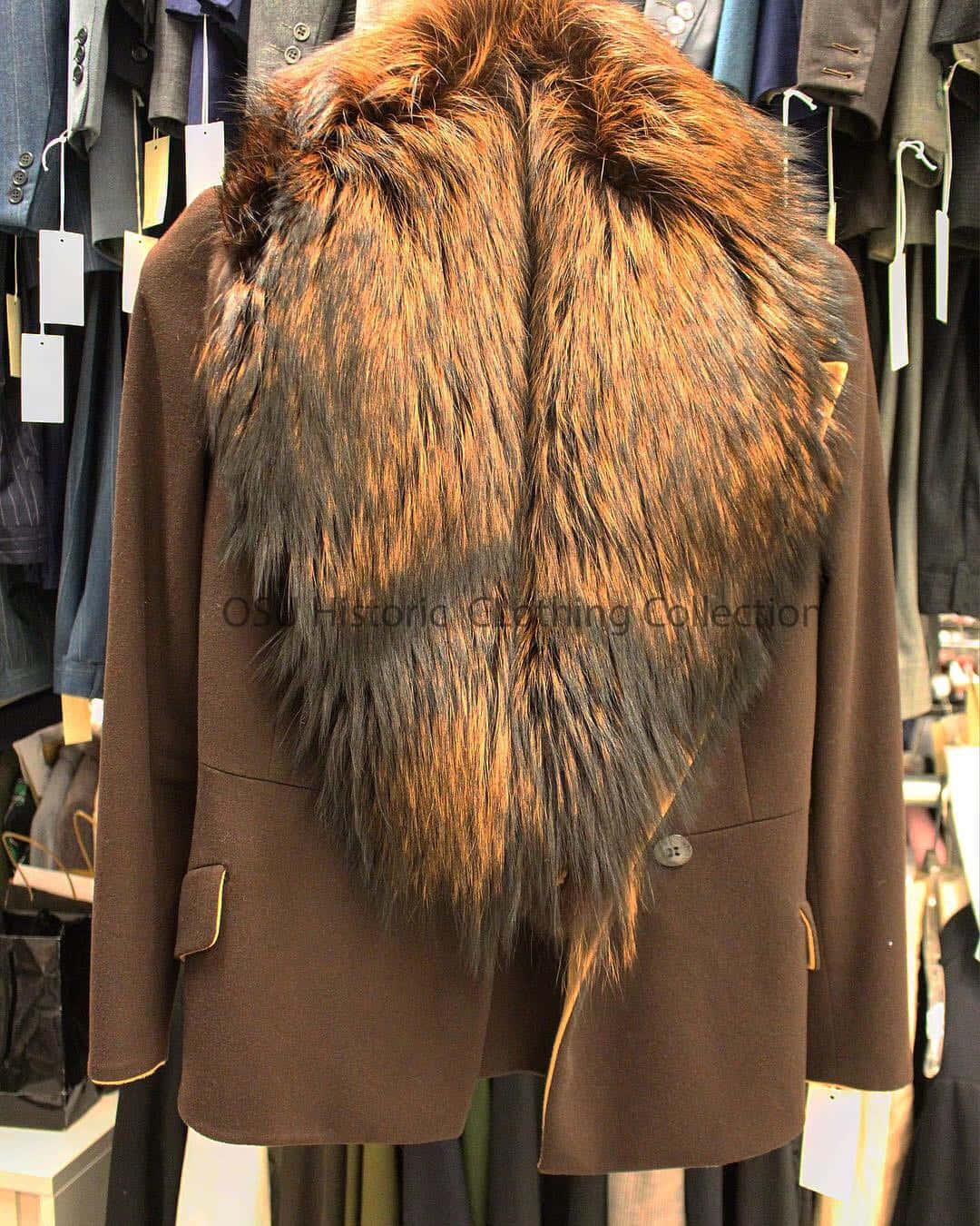 Animal Fur 桌布 壁紙 — 一件棕色大衣，配有豐盈的狐狸毛領，掛在服裝店的衣架上，與其他衣物一起。