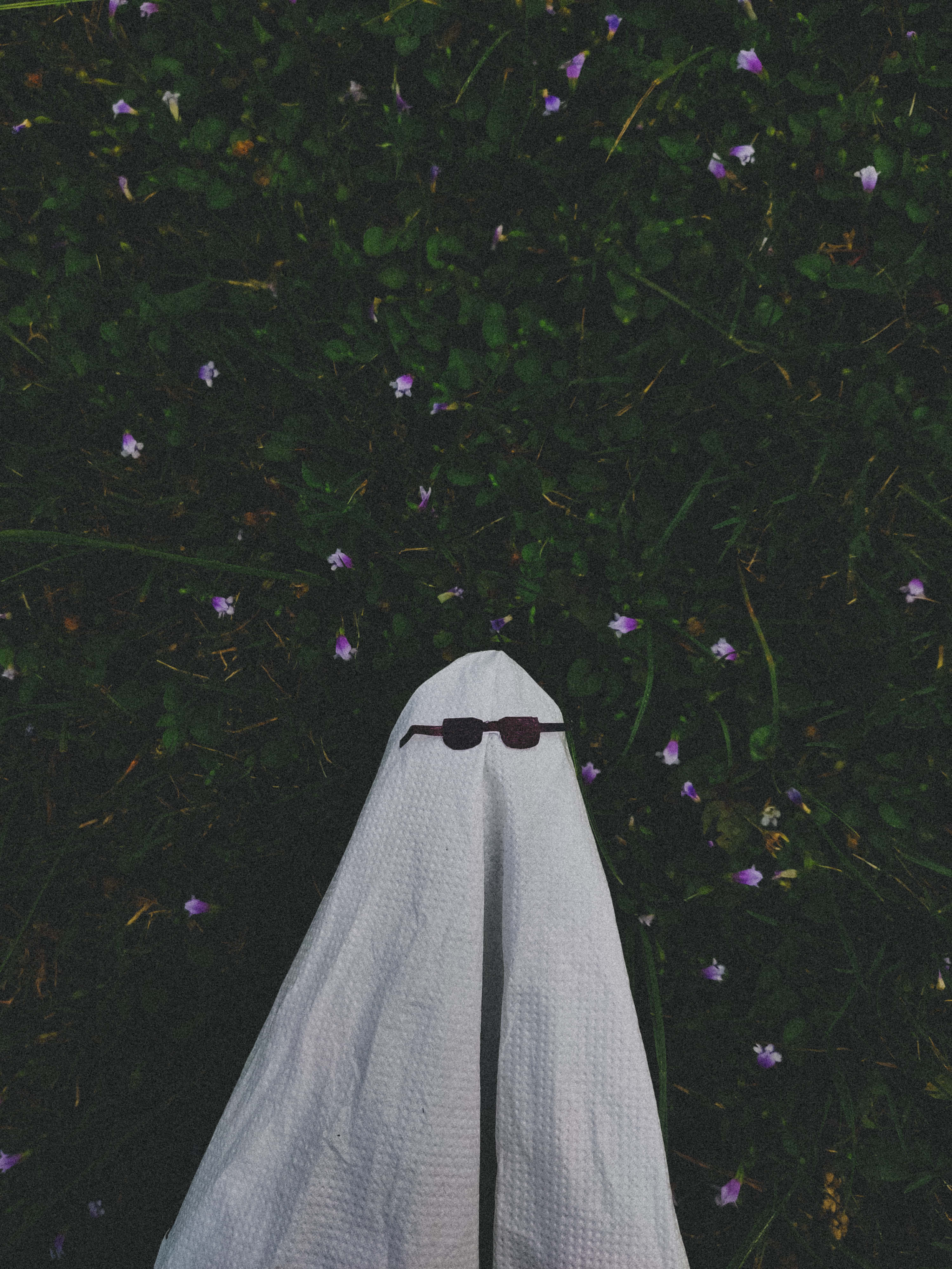鬼魂 桌布 壁紙 — 一件白色鬼魂服飾搭配太陽眼鏡，放置在深綠色草地和散落的紫色花朵中。