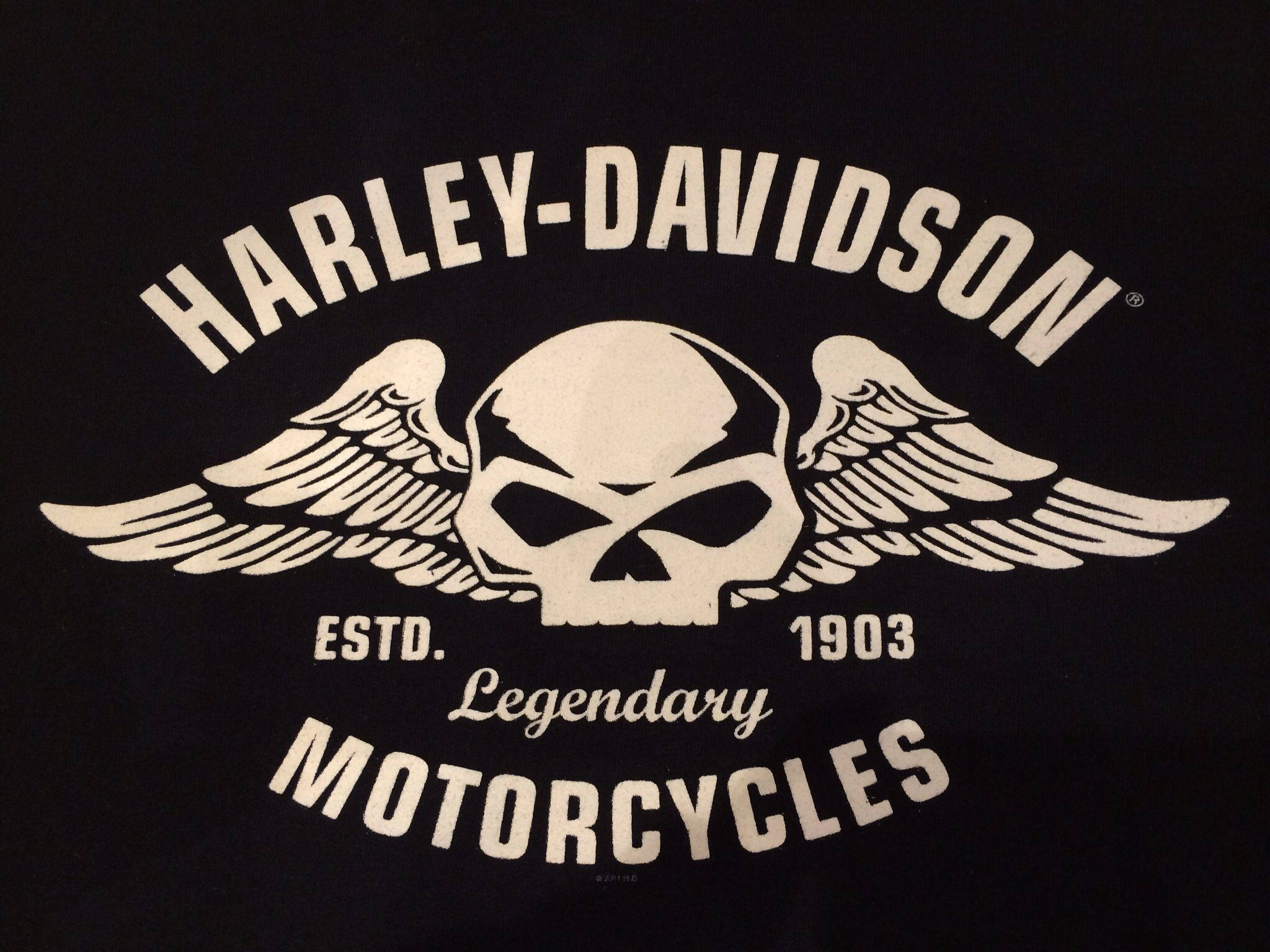 Harley 桌布 壁紙 — 一件黑色T恤展示了一個白色的Harley-Davidson標誌，上面有一個帶翅膀的骷髏頭和'ESTD. 1903 Legendary MOTORCYCLES'文字。